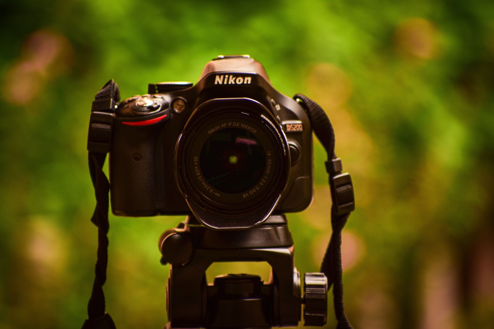 Nikon D3400 sample photo. Camera, dslr, lens photography