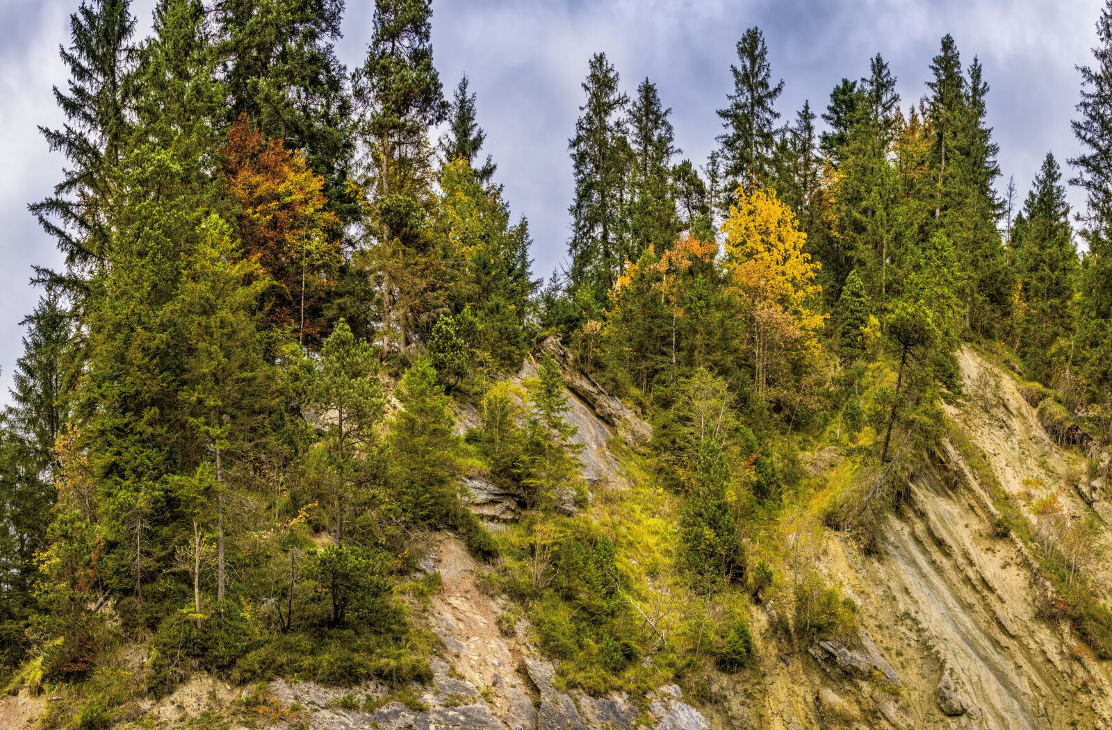 Sony a6300 + Sigma 30mm F2.8 EX DN sample photo. Mountain, trees, rock photography