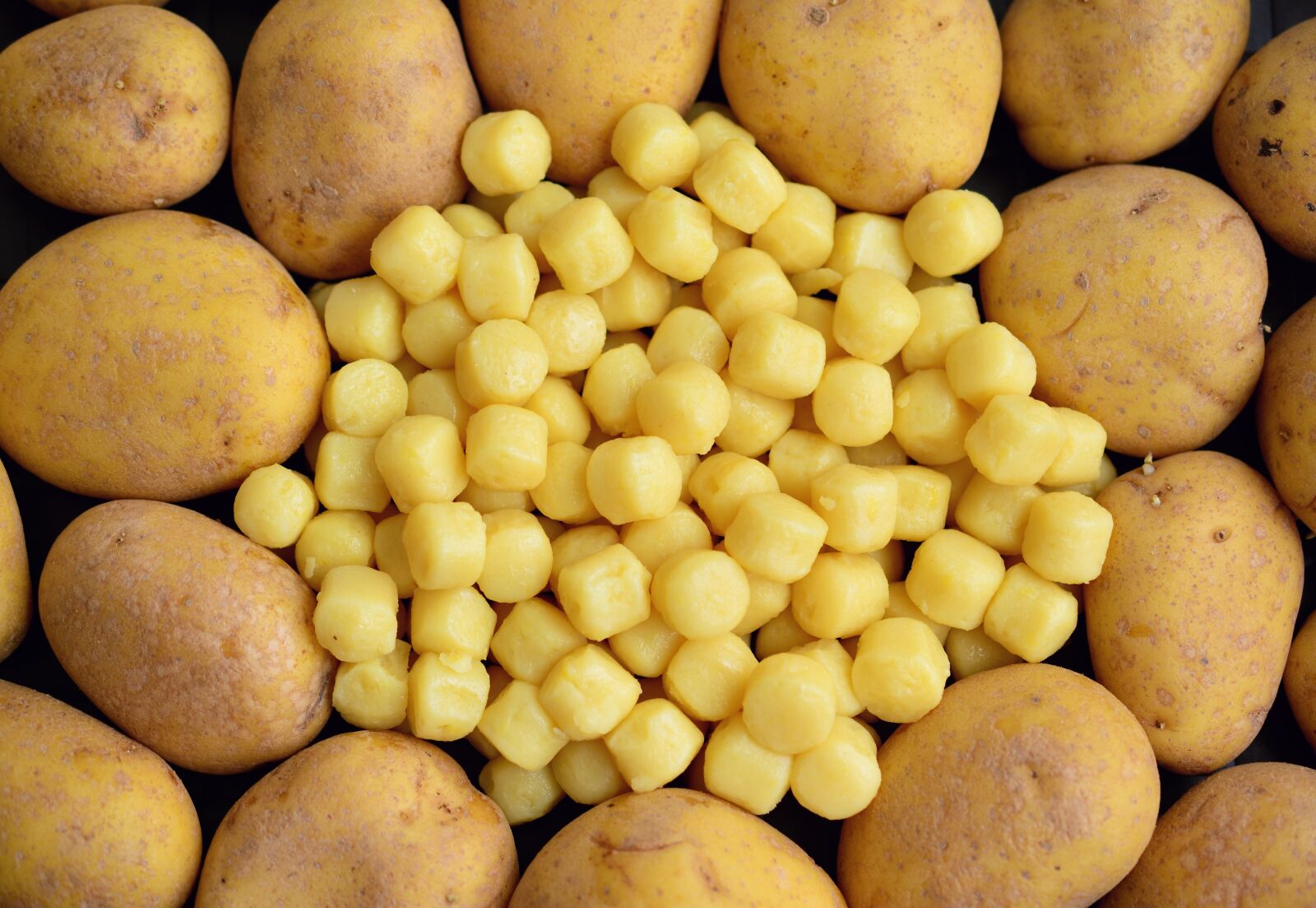 Nikon D5200 sample photo. Gnocchi, potato gnocchi, potatoes photography
