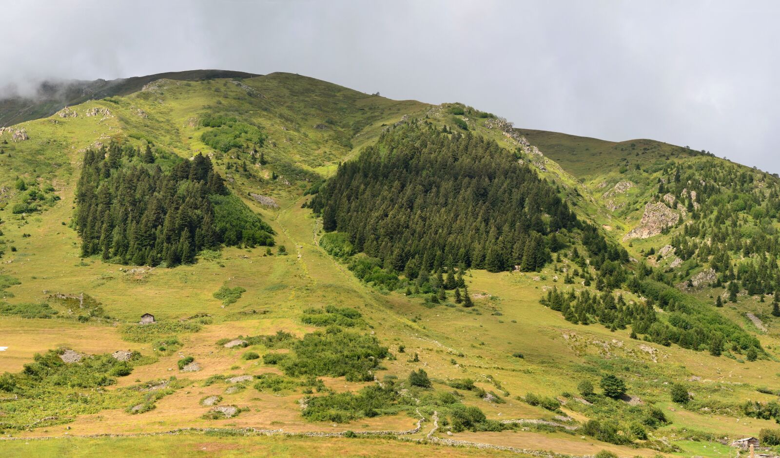 Nikon D5100 sample photo. Eastern black sea, rize photography