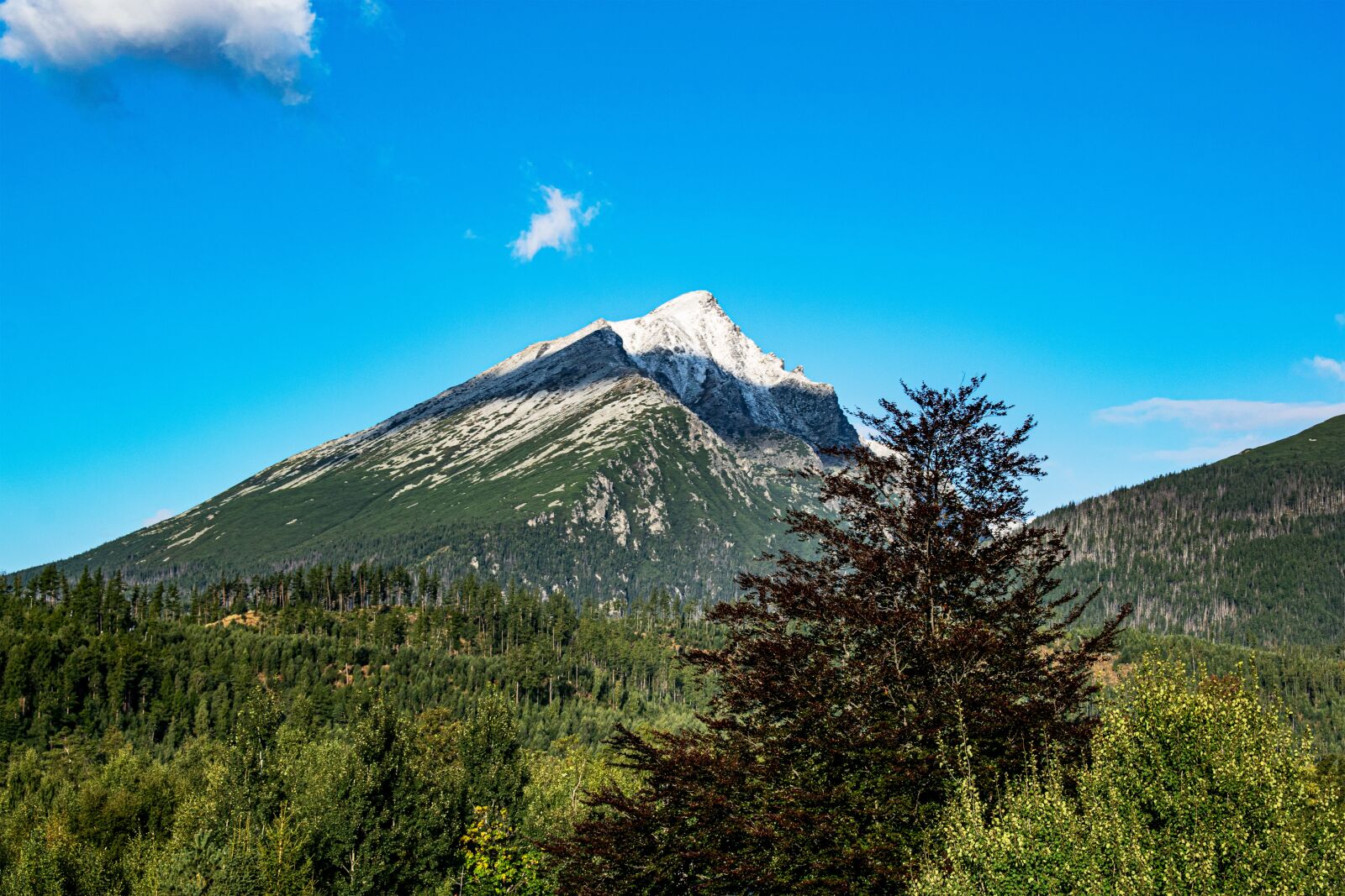 Nikon D5300 sample photo. Slovakia, kriváň, mountains photography