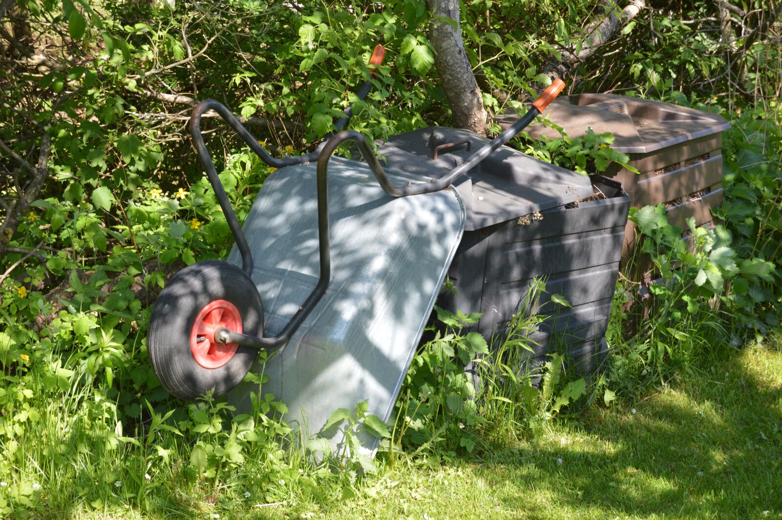 Nikon D3200 sample photo. Wheelbarrow, mulch, grove photography