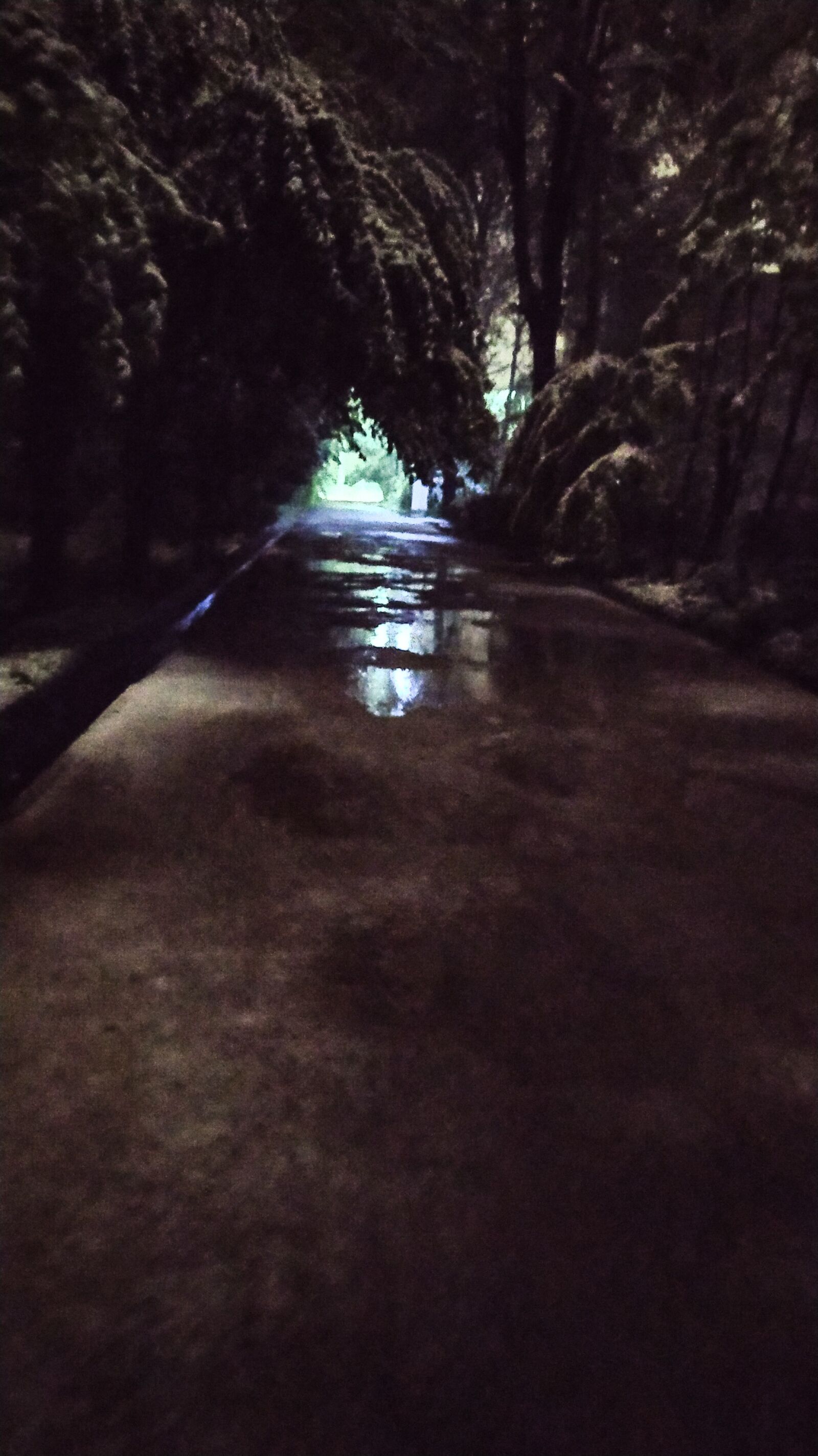 Xiaomi Redmi Note 8 sample photo. Snaw, street, rain photography
