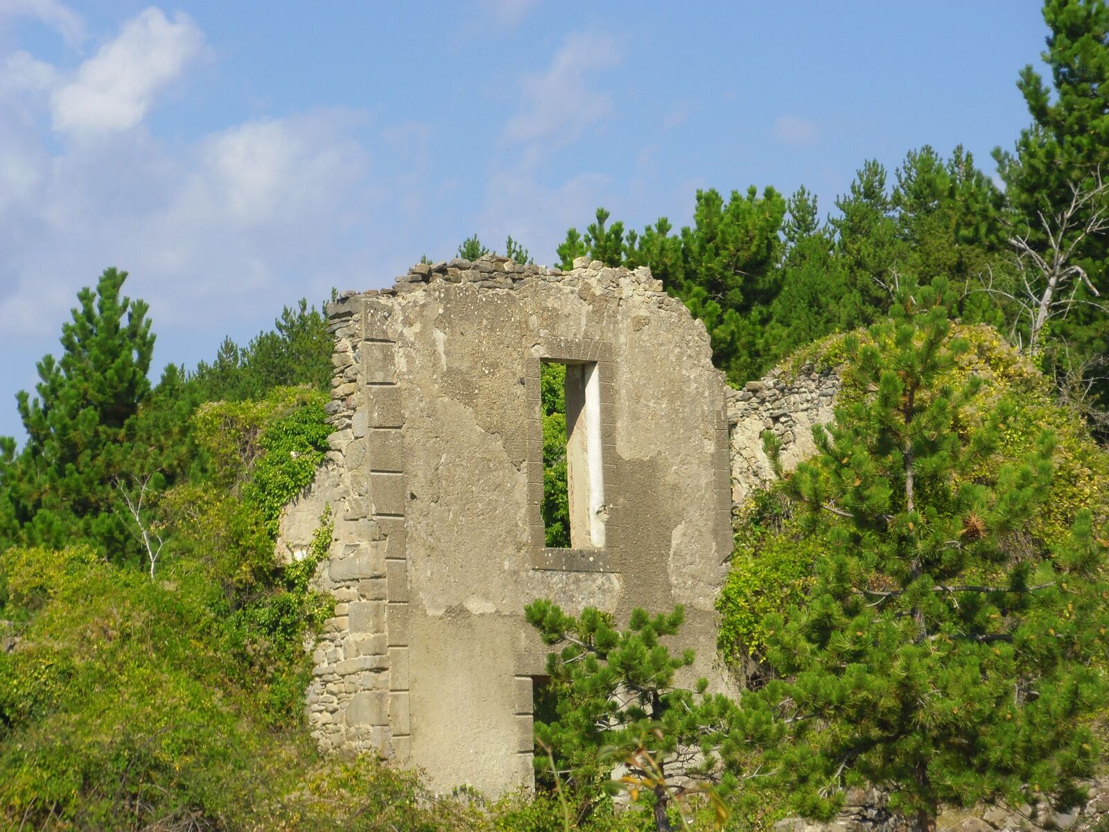 Pentax Optio S1 sample photo. Wall, ruins, architecture photography