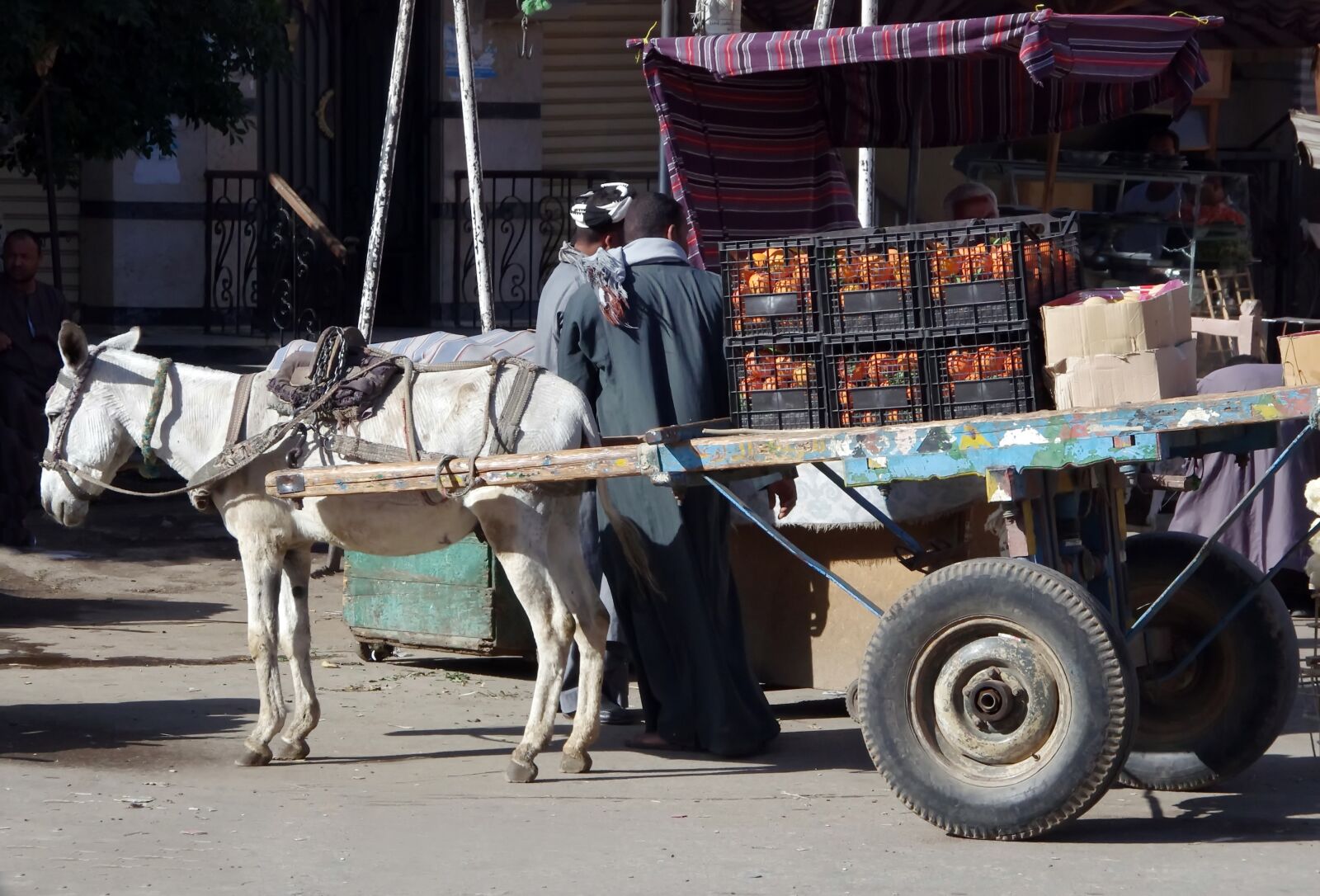 Pentax K-5 sample photo. Egypt, aswan, van photography