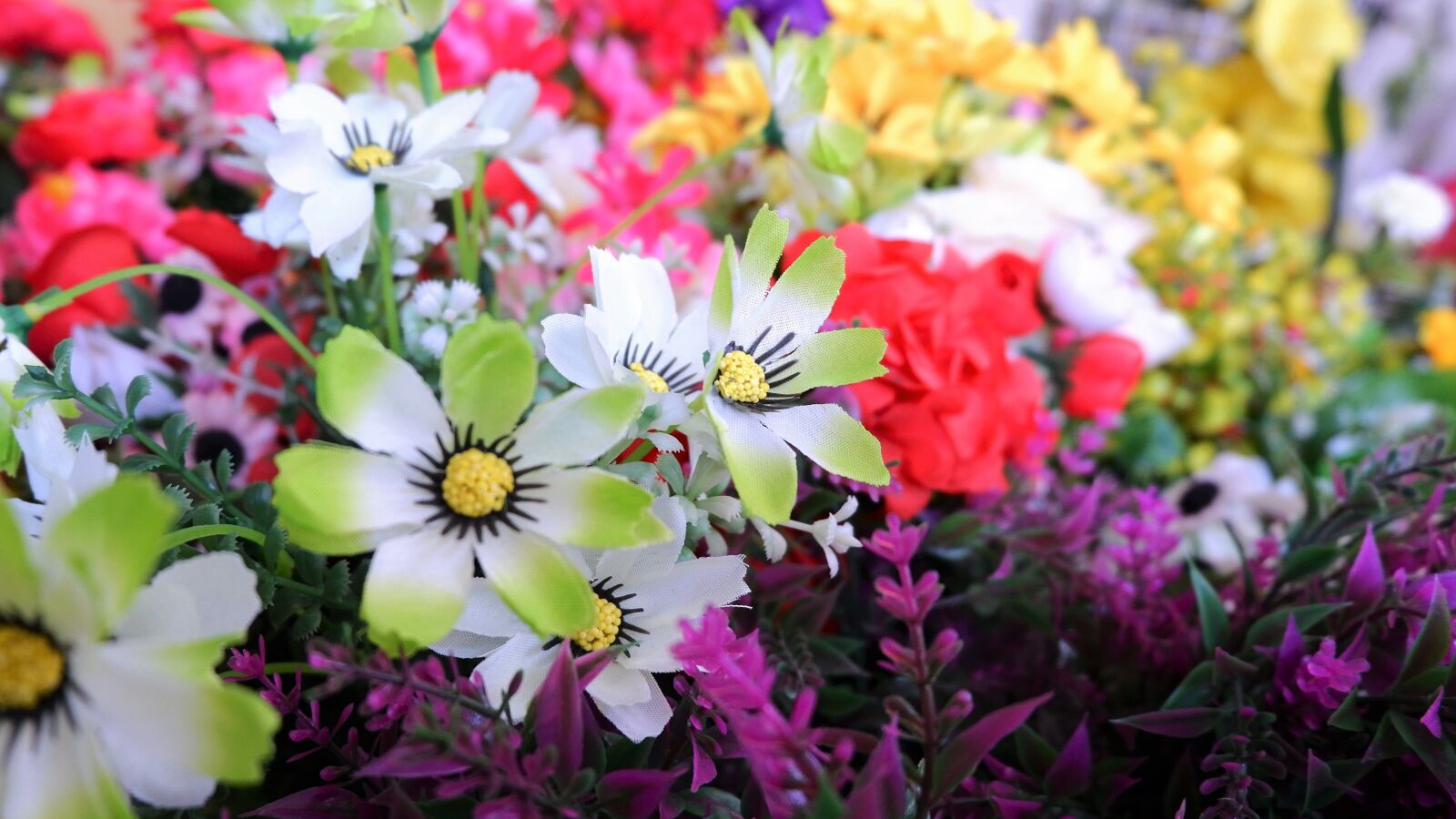 Fujifilm X-A3 + Fujifilm XC 16-50mm F3.5-5.6 OIS II sample photo. Flowers, fake flowers, plastic photography