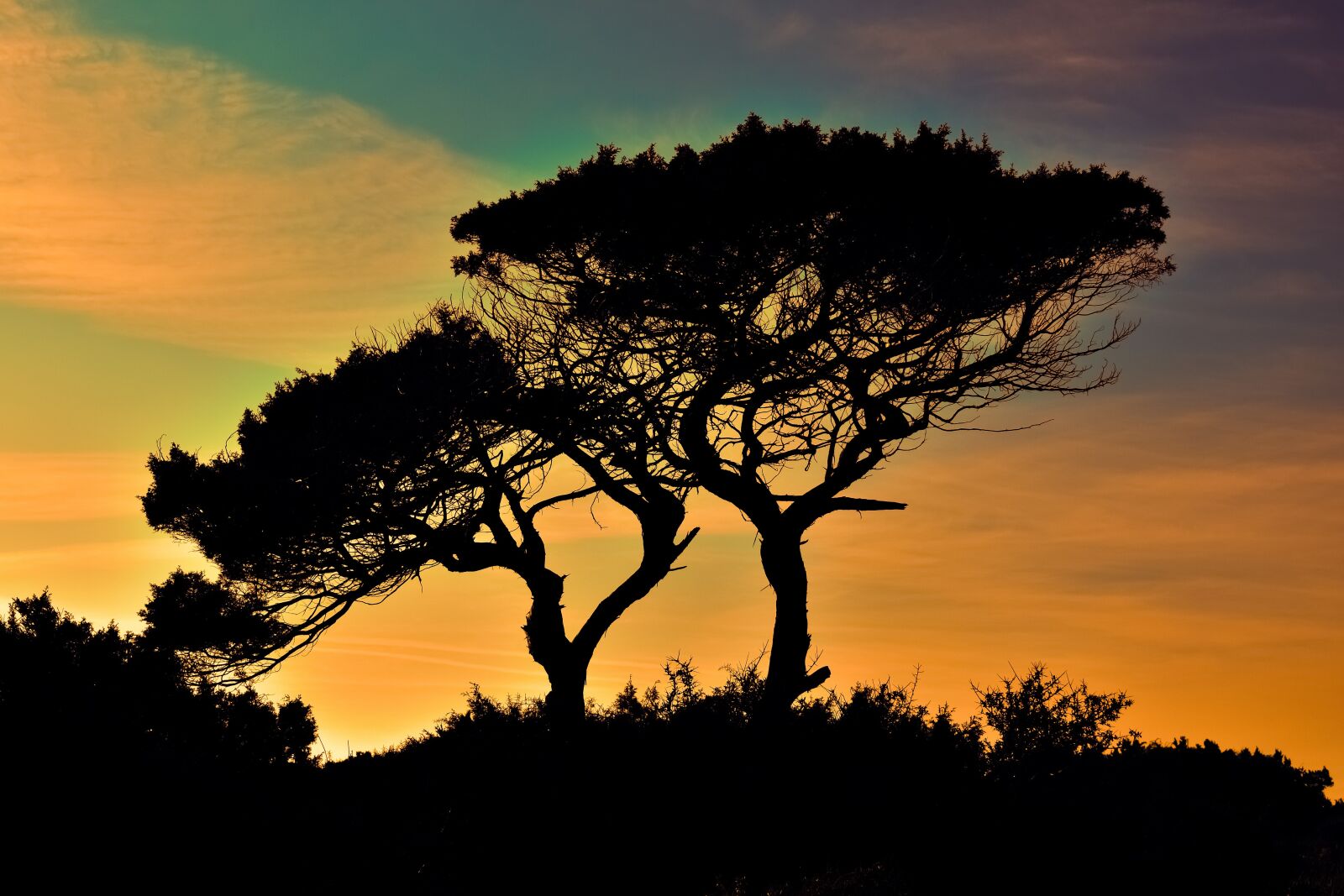 Nikon D3300 sample photo. Cyprus, cavo greko, national photography