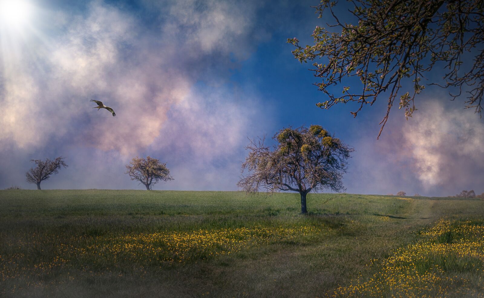 Pentax K-30 sample photo. Landscapes, clouds, nature photography
