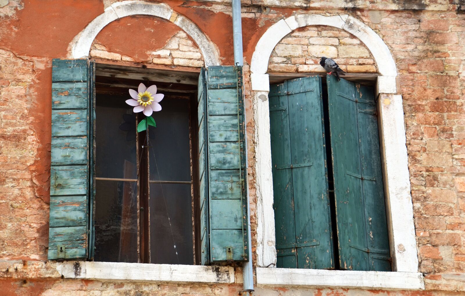 Nikon D7000 sample photo. Window, facade, building photography