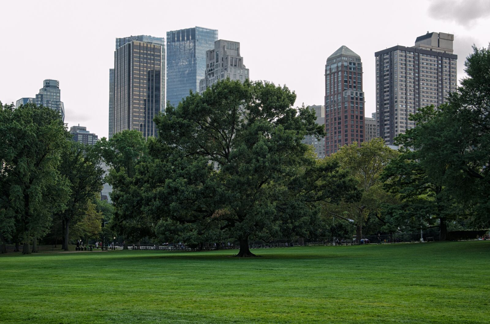 Nikon D5100 sample photo. City, architecture, skyscraper photography