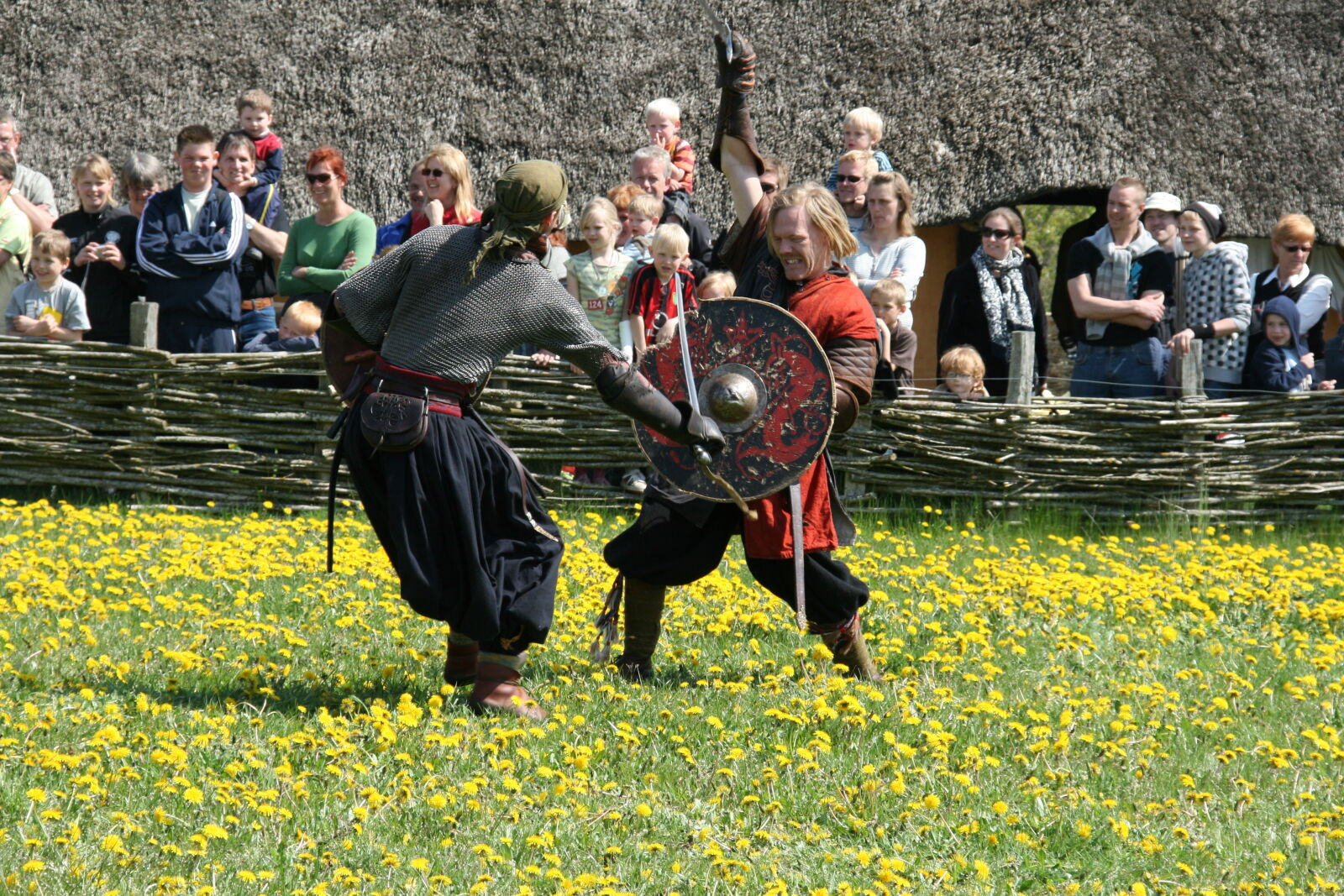 Sigma 18-200mm f/3.5-6.3 DC OS sample photo. Vikings photography