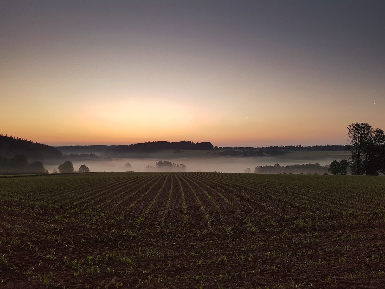 Samsung Galaxy S7 Edge sample photo. Sunrise, east, fog photography