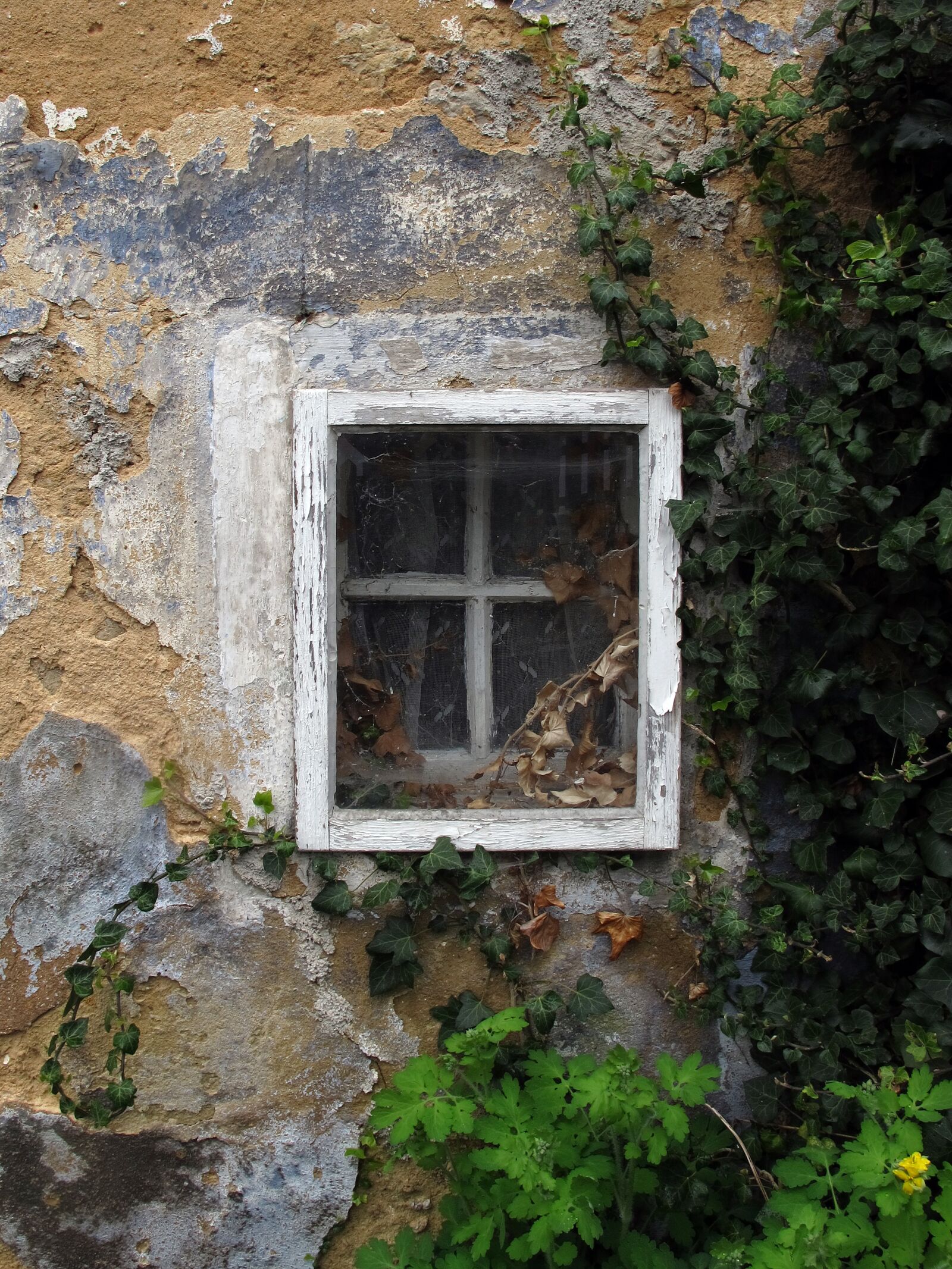 Canon PowerShot G12 sample photo. Window, old window, window photography