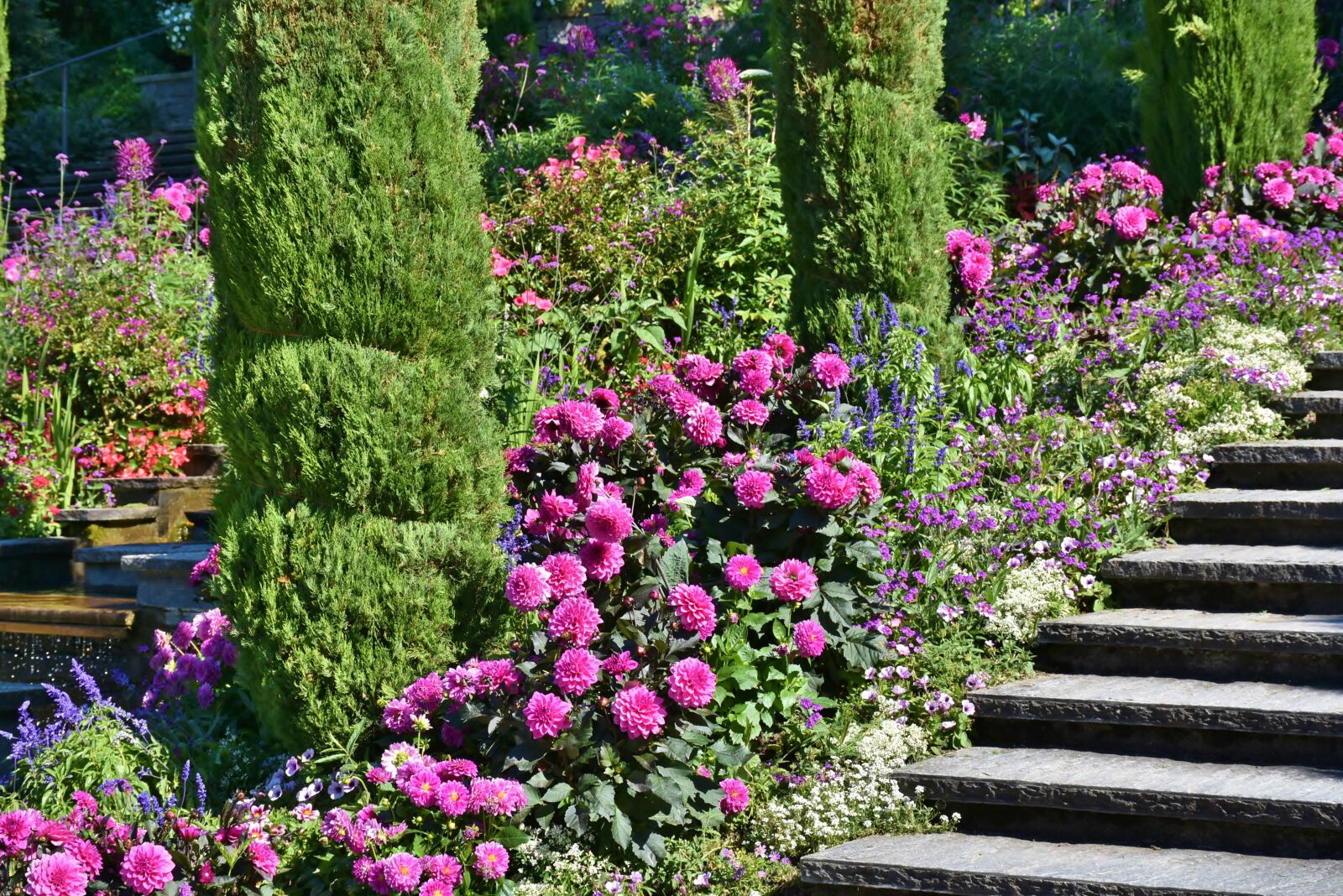 Nikon D7200 sample photo. Mainau, island, lake constance photography