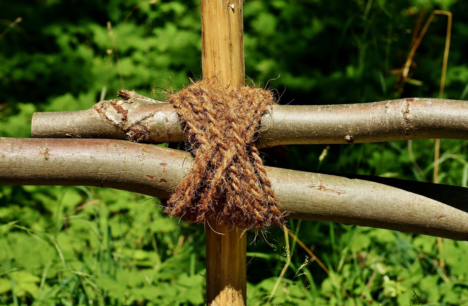 Nikon D7200 sample photo. Fence, aesthetic, knot photography