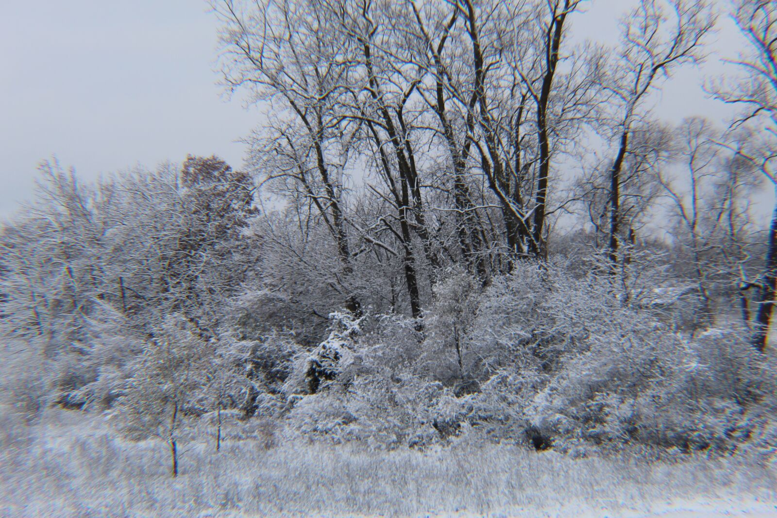 Canon EOS 1300D (EOS Rebel T6 / EOS Kiss X80) sample photo. Michigan winter, white, snow photography