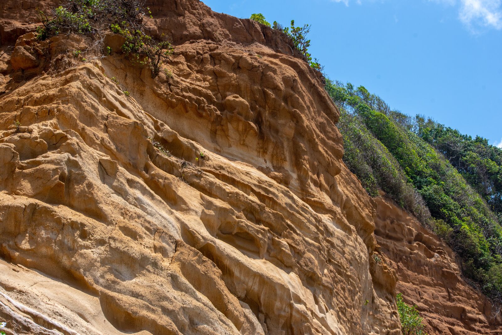 Nikon D750 sample photo. Cliff, on edge, st photography