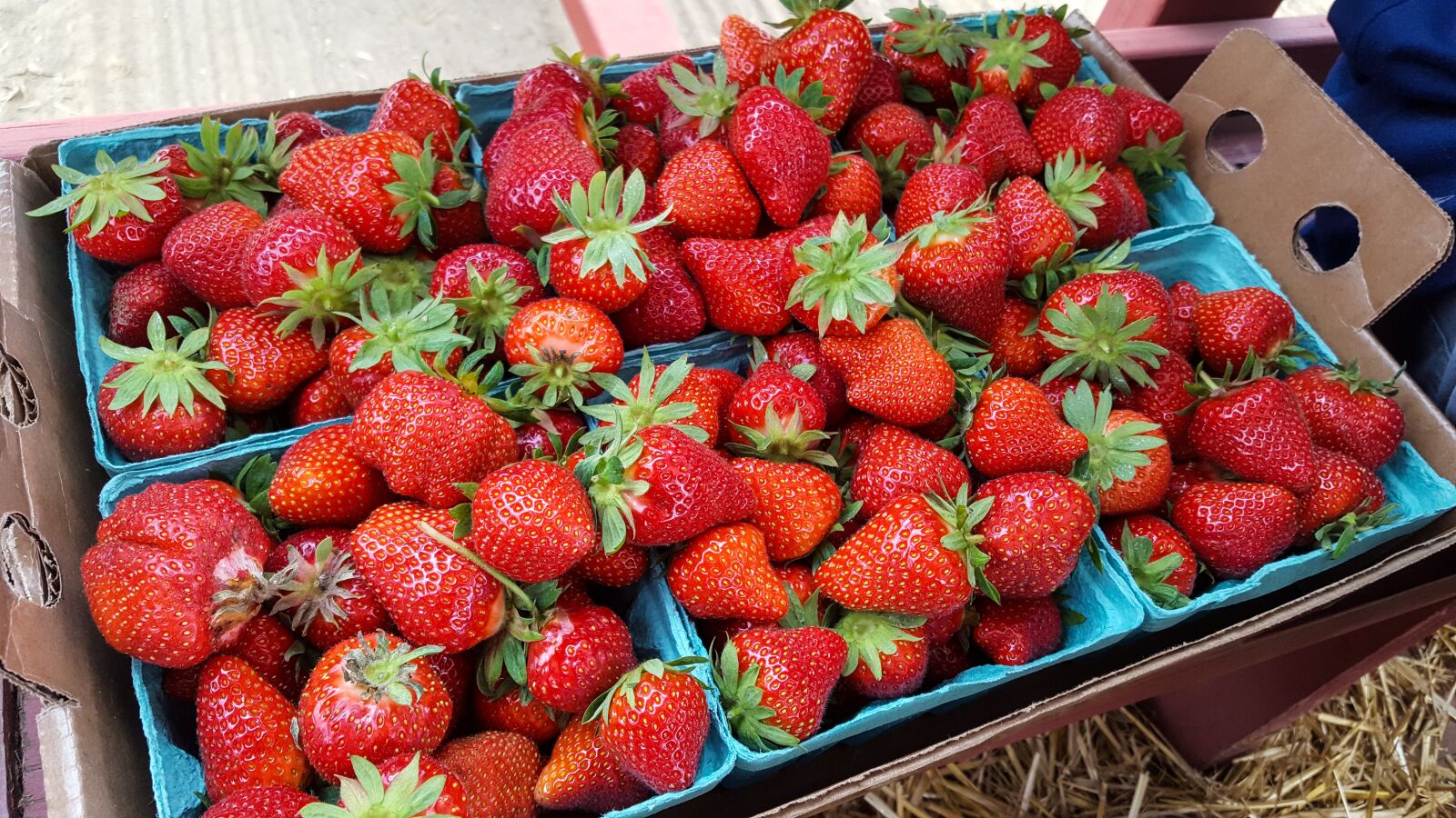 Samsung Galaxy S6 sample photo. Strawberry, fruit, food photography