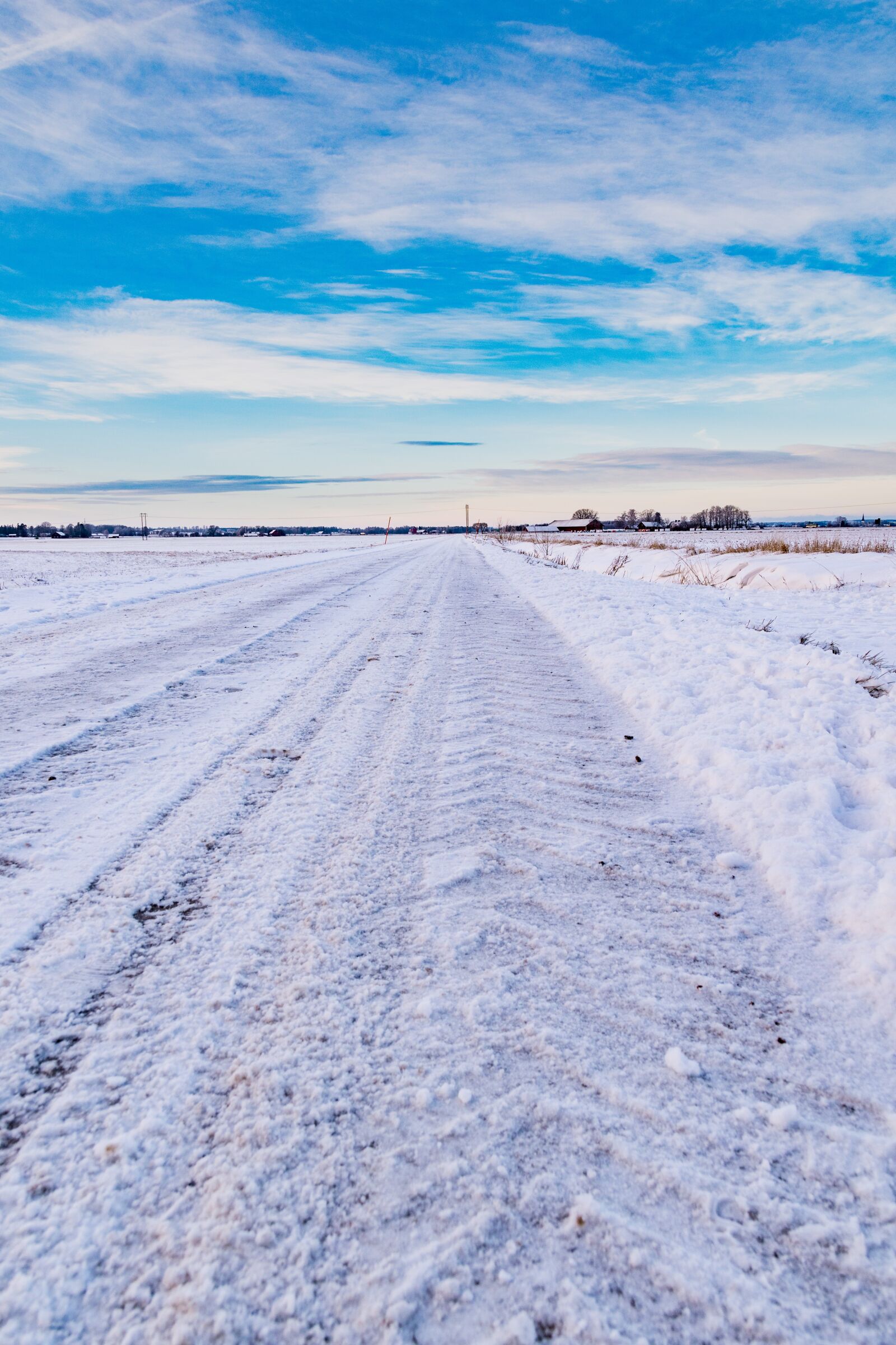 Nikon D5600 sample photo. Snow, cold, winter photography