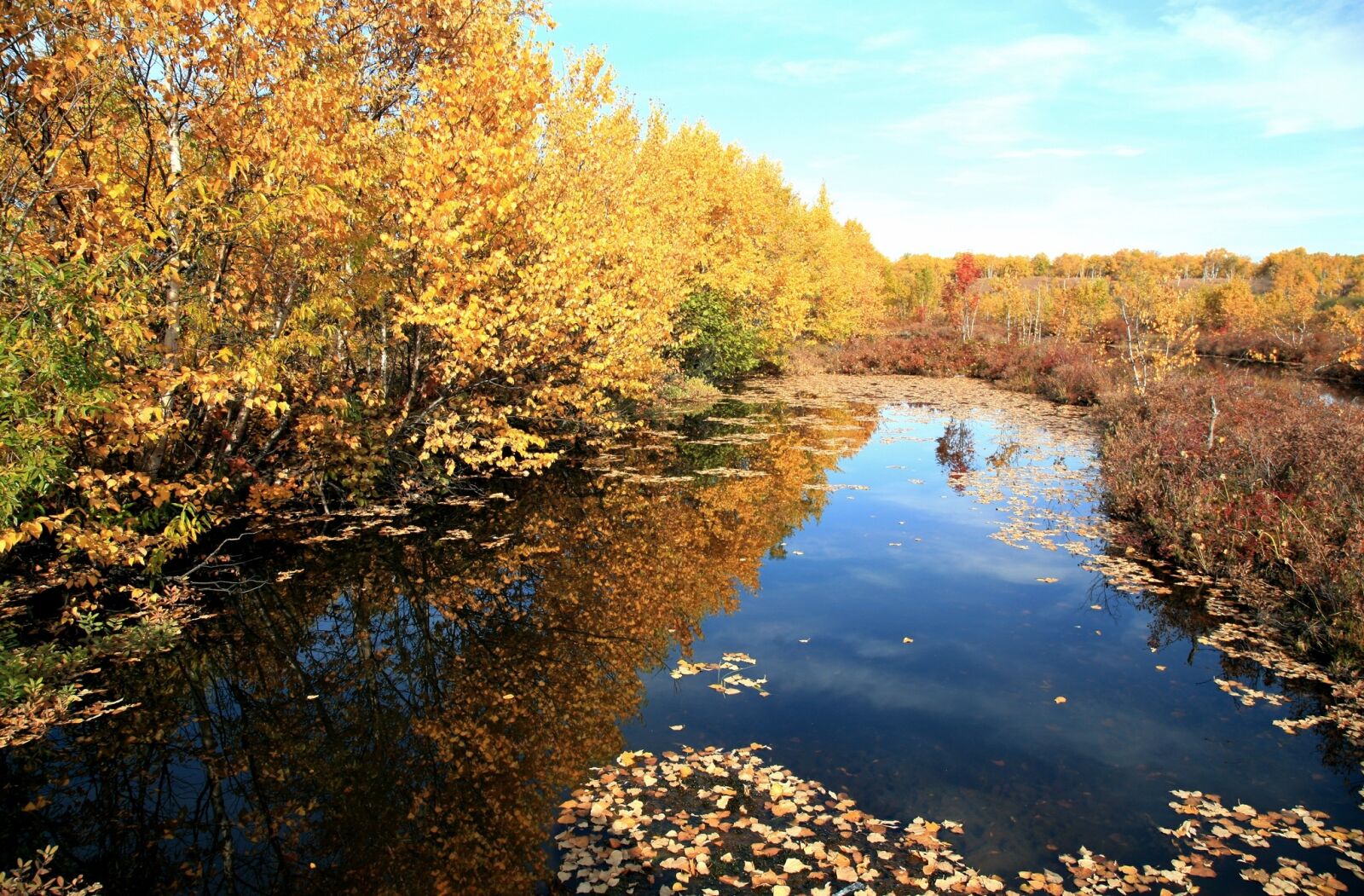 Canon EOS 5D sample photo. Autumn, fallen leaves, lake photography