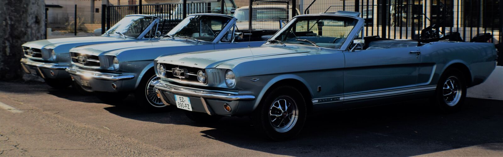 Nikon D3300 sample photo. Mustang, vintage, classical photography