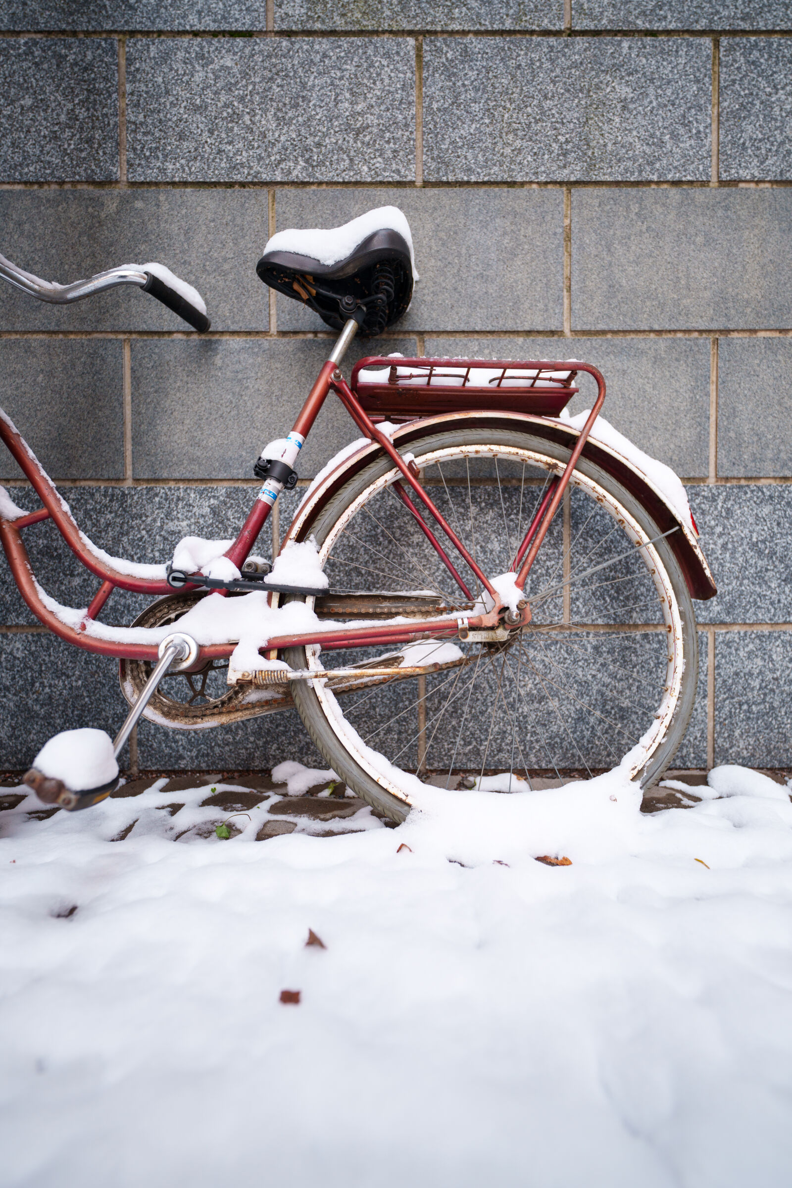 Sigma 14mm F1.4 DG DN sample photo. Forgotten bicycle photography