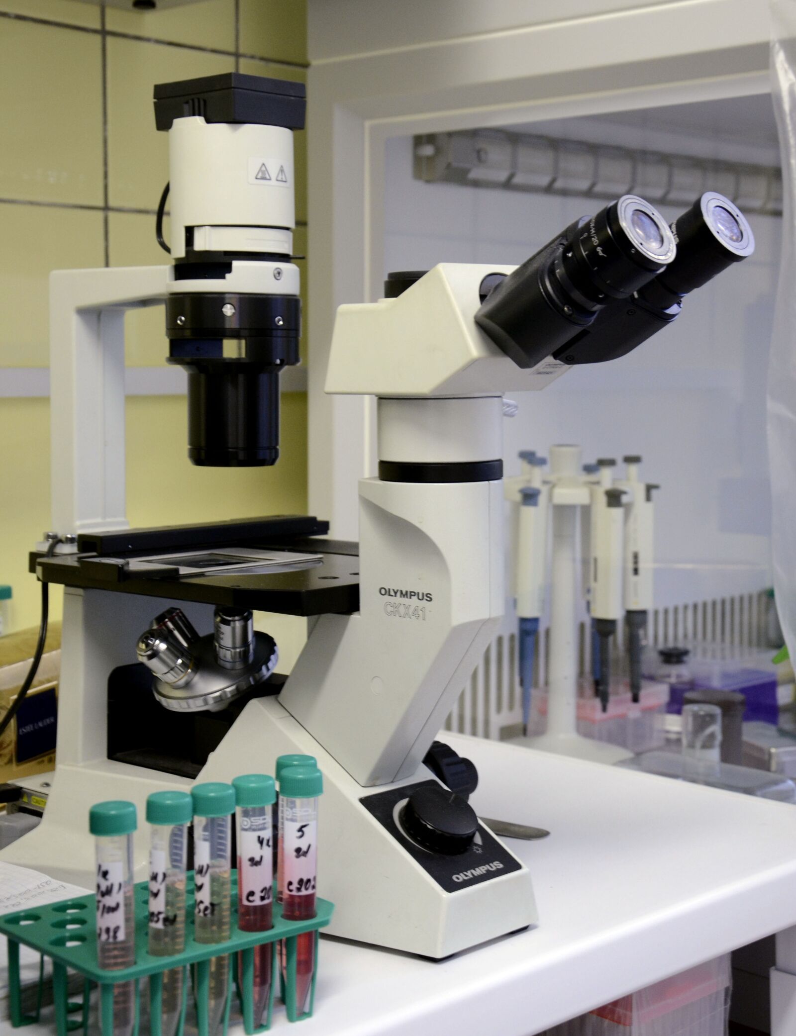 Nikon D3100 sample photo. Microscope, science, microbiology photography