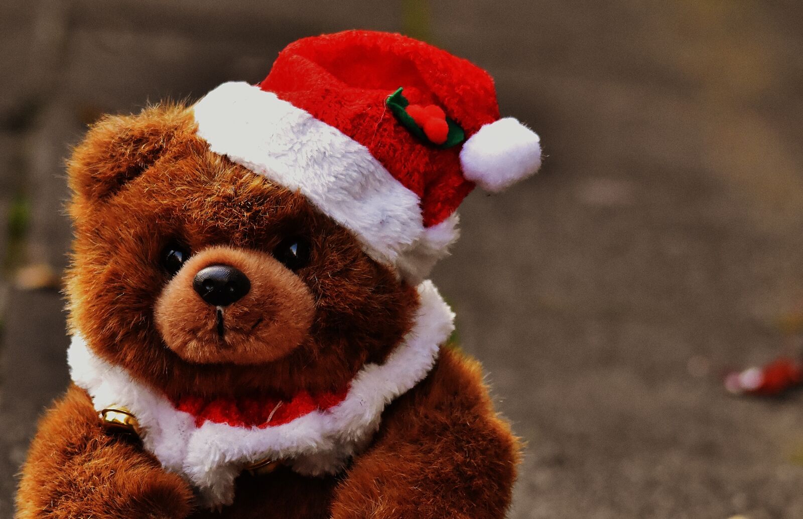Nikon D7200 sample photo. Christmas, greeting card, teddy photography