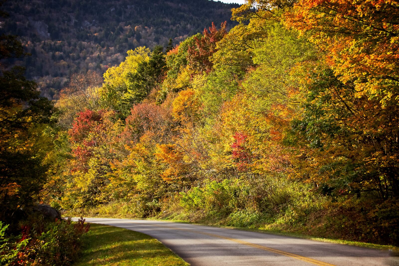 Canon EOS 600D (Rebel EOS T3i / EOS Kiss X5) sample photo. Fall, autumn, road photography