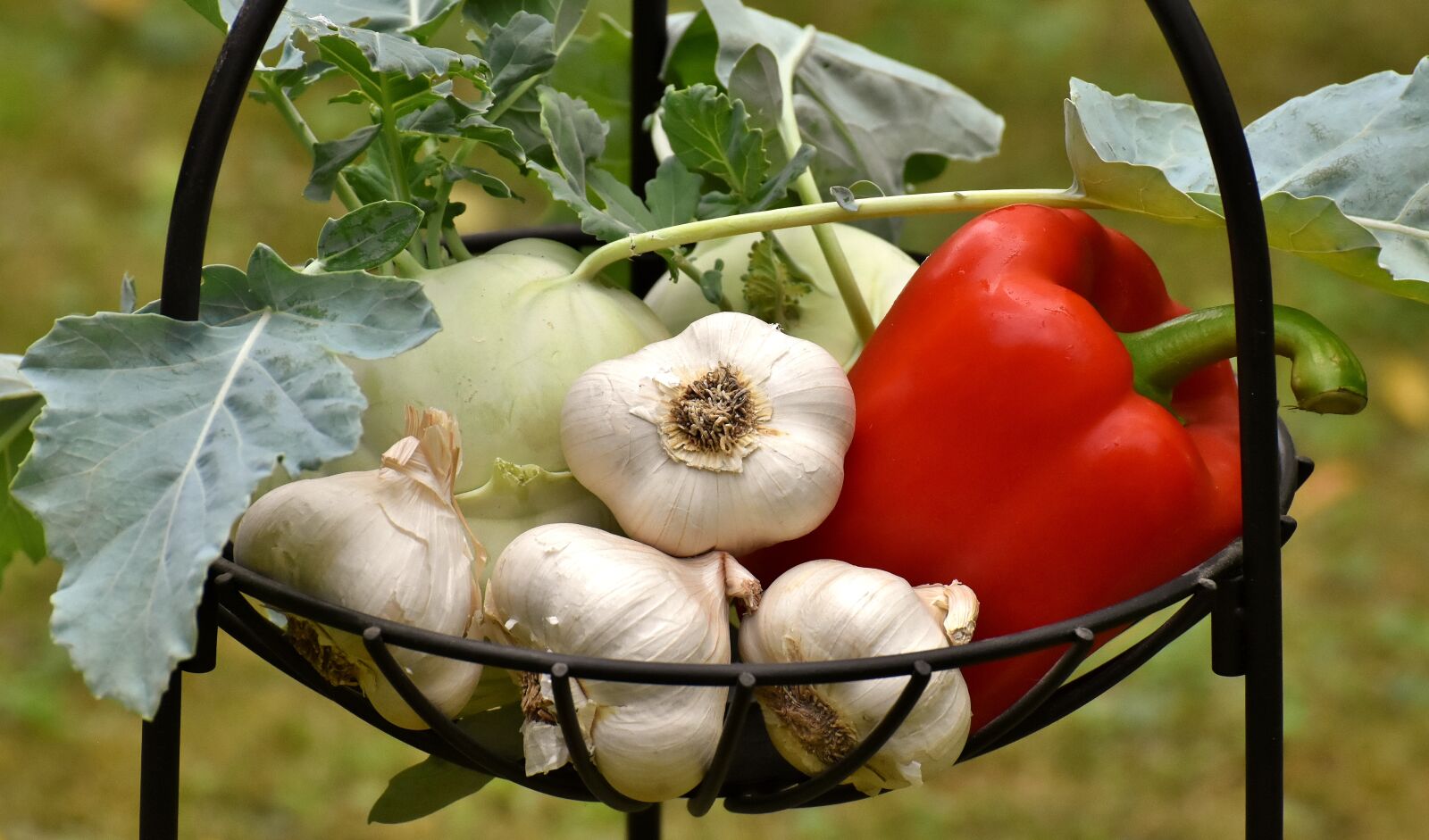 Nikon D7200 sample photo. Vegetables, paprika, garlic photography