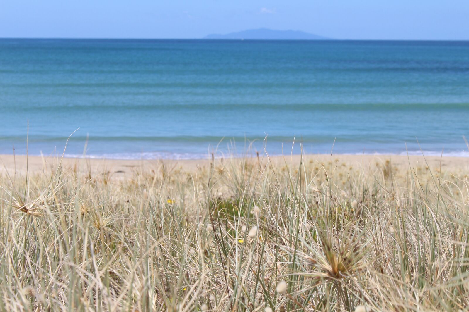 Canon EOS 700D (EOS Rebel T5i / EOS Kiss X7i) sample photo. Whangamata, new zealand, blue photography
