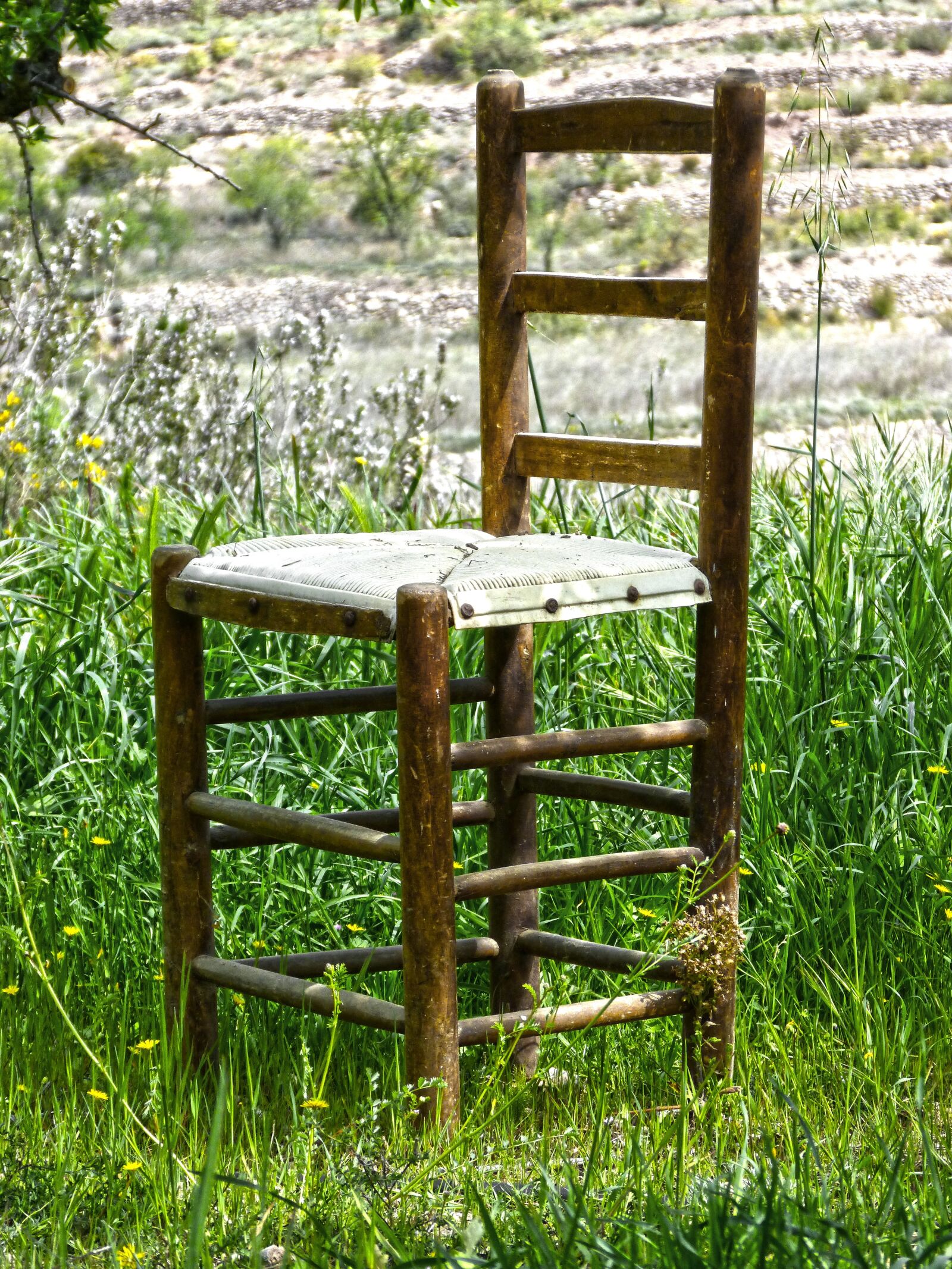 Panasonic DMC-FZ62 sample photo. Chair, field, old photography