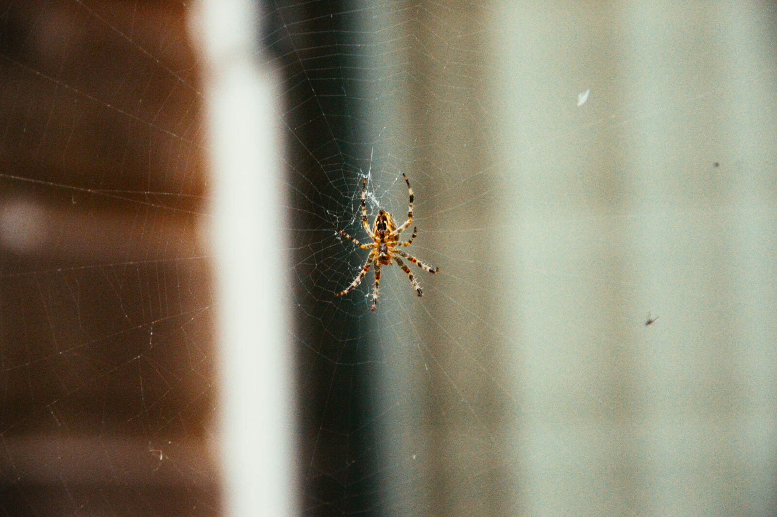 Nikon D3200 sample photo