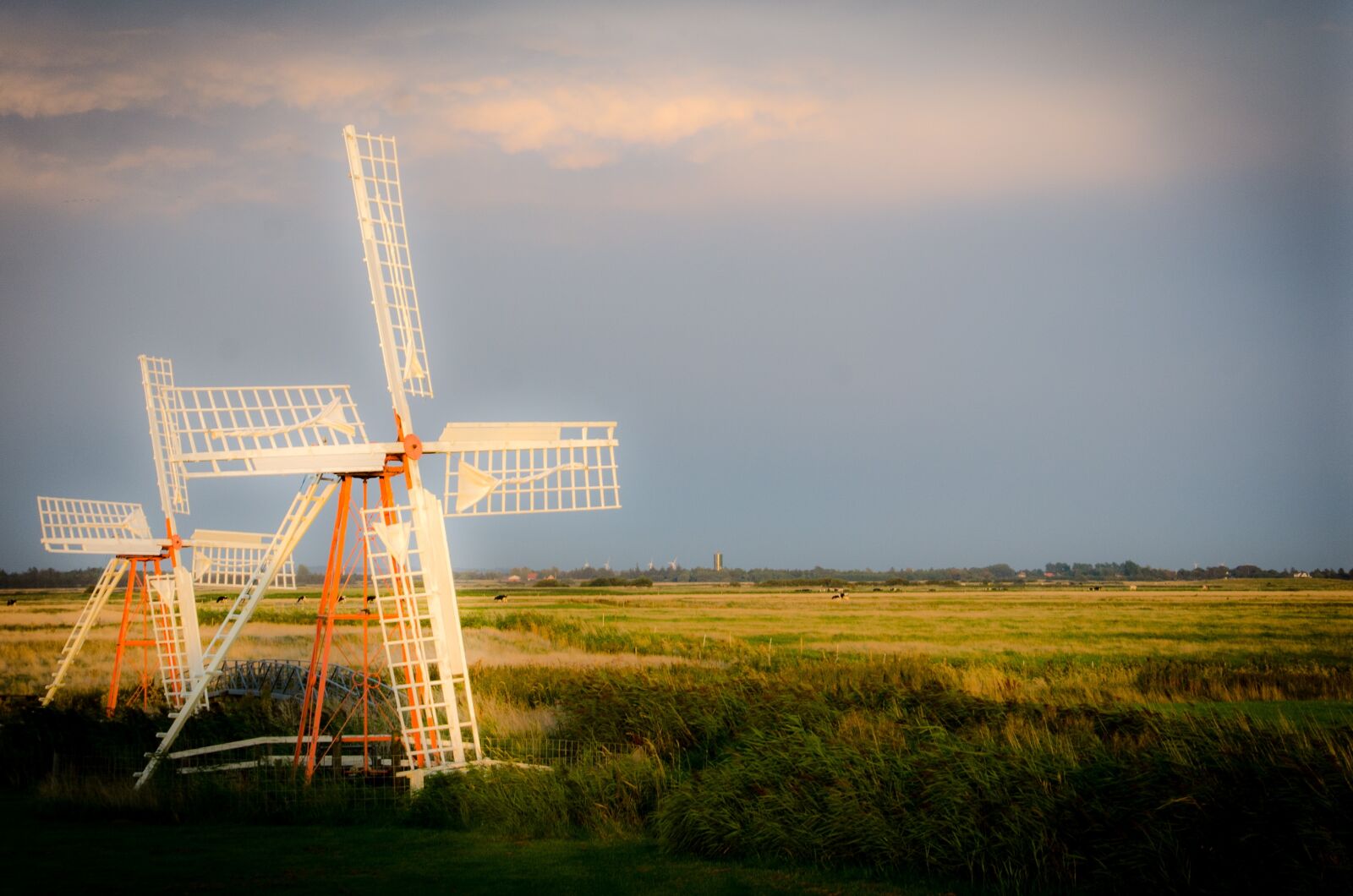Nikon D7000 sample photo. Southern jutland, dyke pumps photography