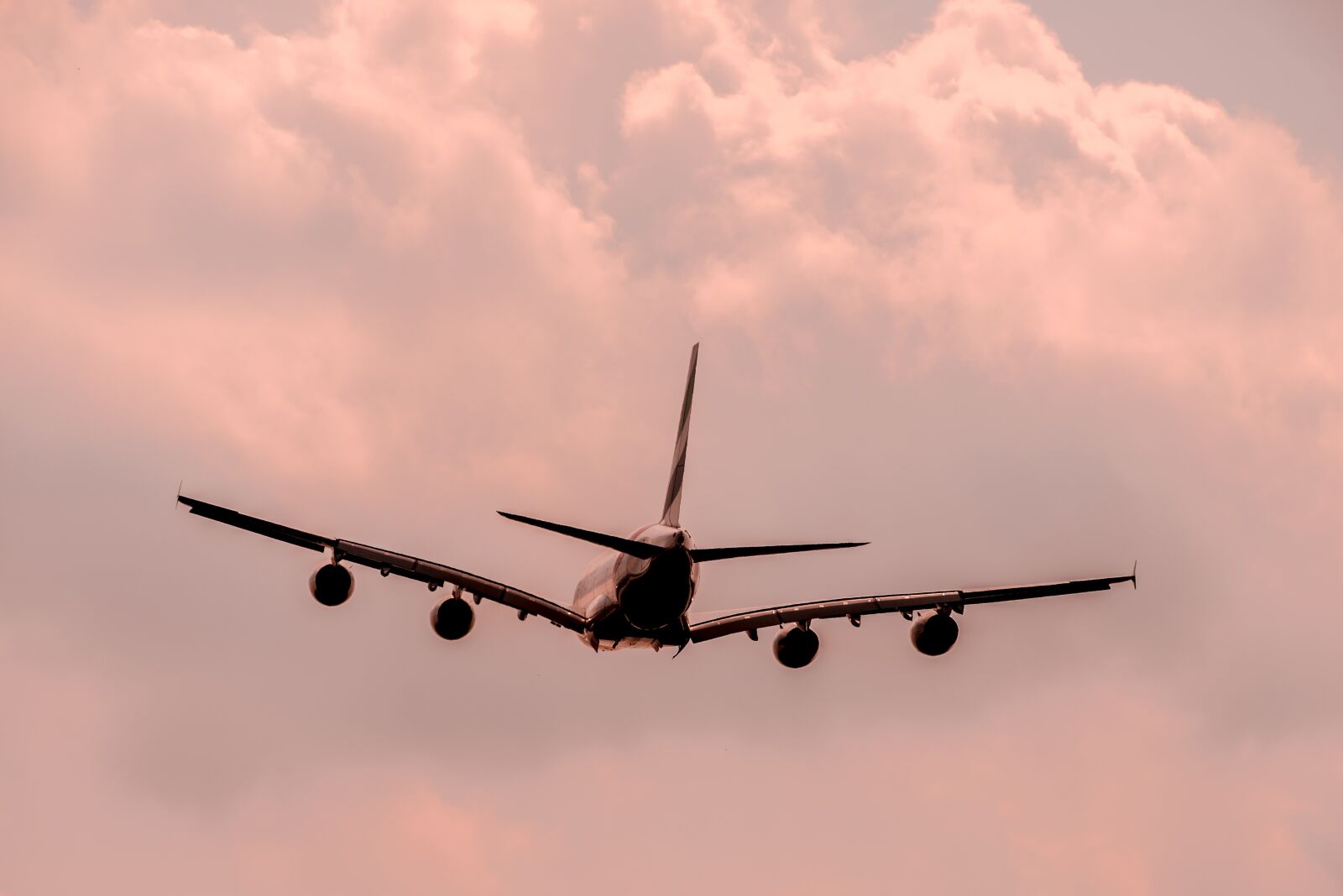 Nikon D750 sample photo. Aircraft, flyer, flying photography