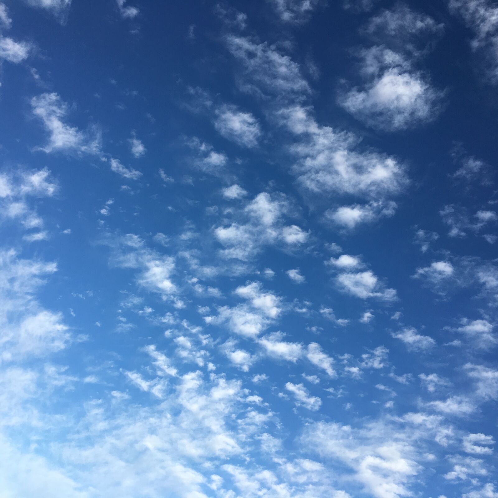 Apple iPhone 6s sample photo. Nature, outdoors, sky photography