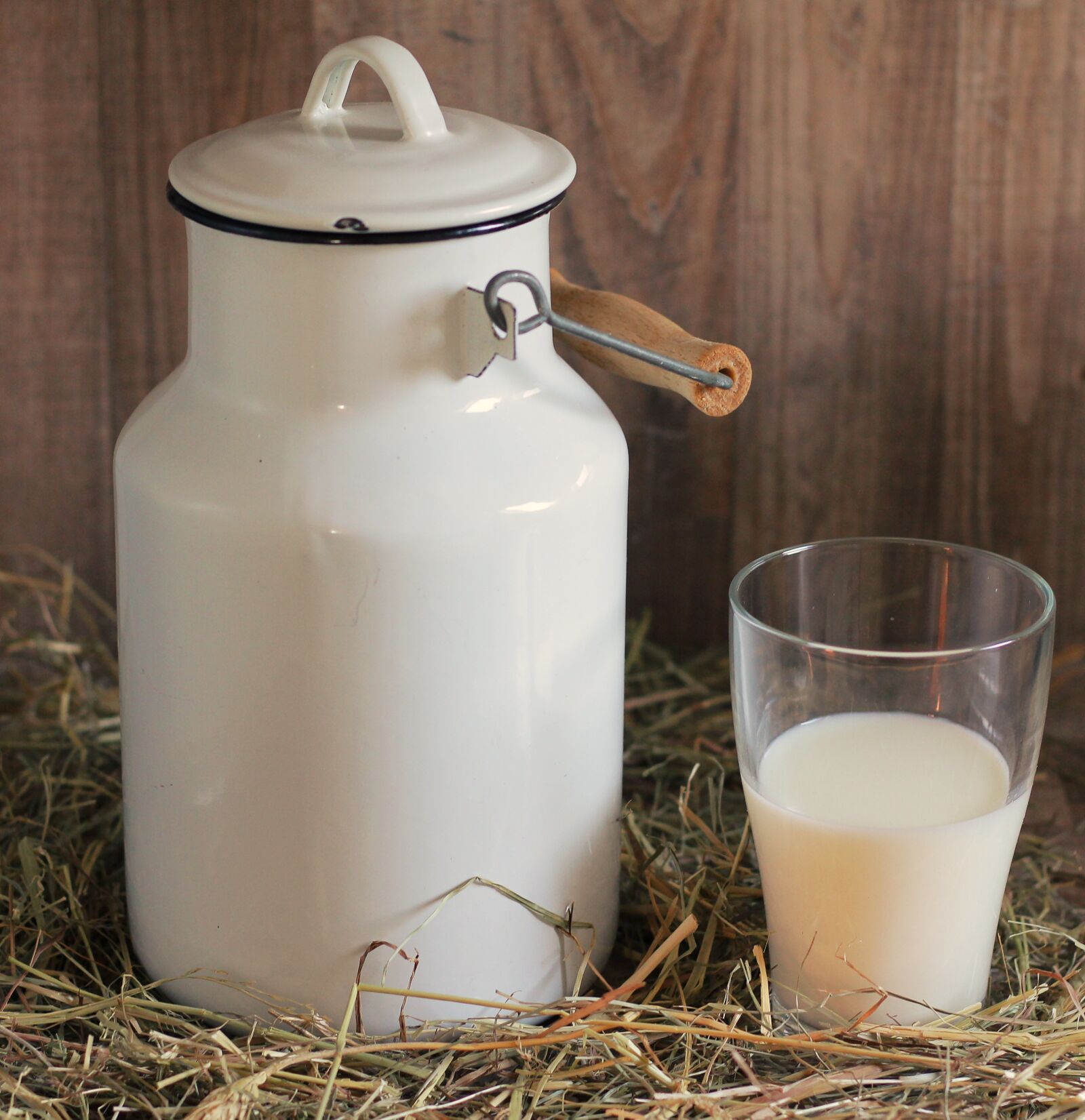 Canon EOS 550D (EOS Rebel T2i / EOS Kiss X4) sample photo. Milk can, glass, milk photography