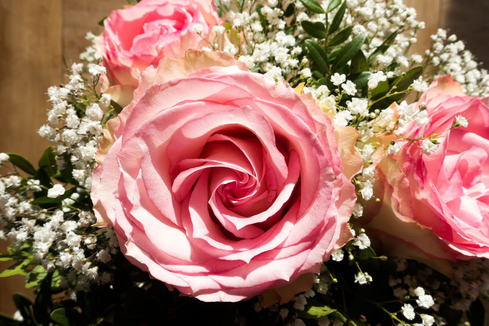 Sony Cyber-shot DSC-RX100 III sample photo. Rose, flower, composites photography