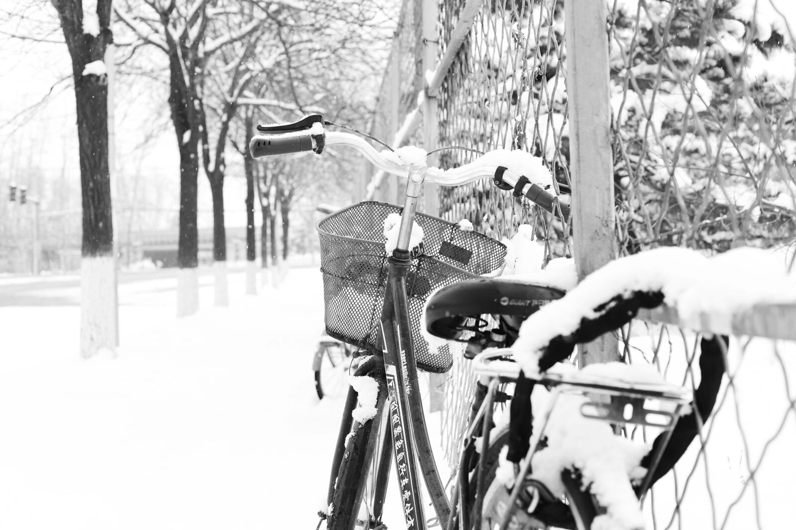 Canon EOS 6D Mark II + Canon EF 50mm F1.8 STM sample photo. Snow, bicycle, bike photography