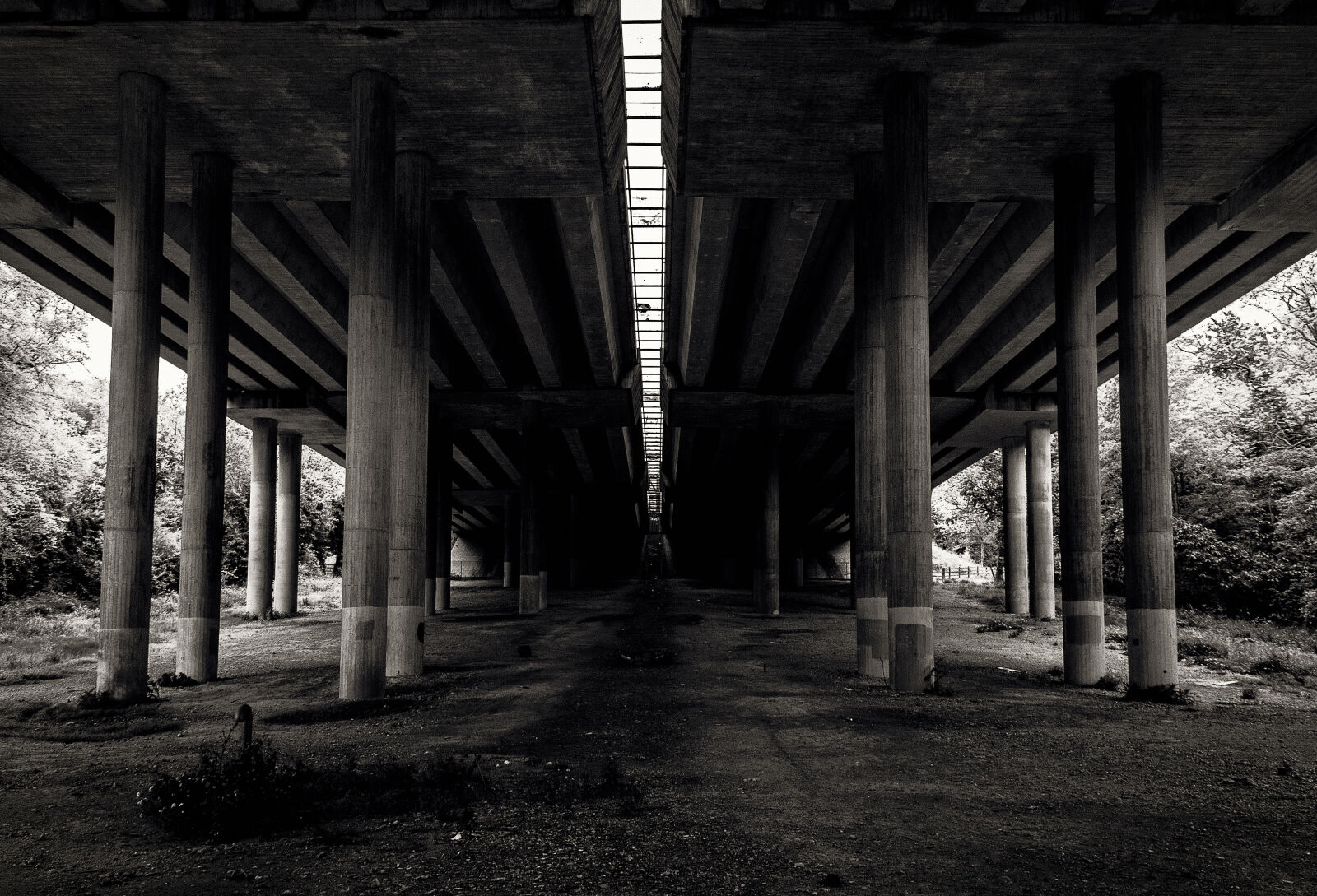 Canon EOS 550D (EOS Rebel T2i / EOS Kiss X4) sample photo. Black, and, white, bridge photography
