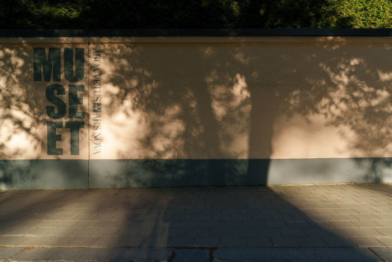 Sony a7R V sample photo. Shadow tree museum photography