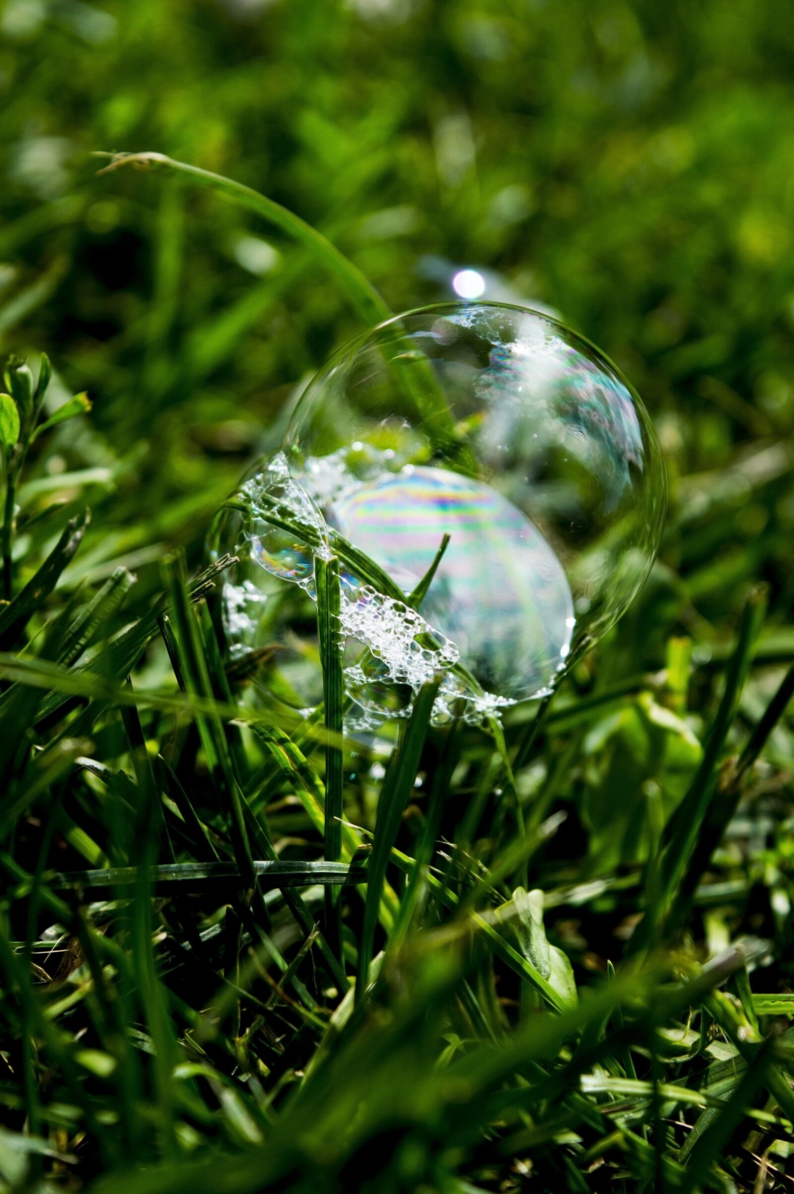 Nikon D3200 sample photo. Bubble, grass, sphere photography