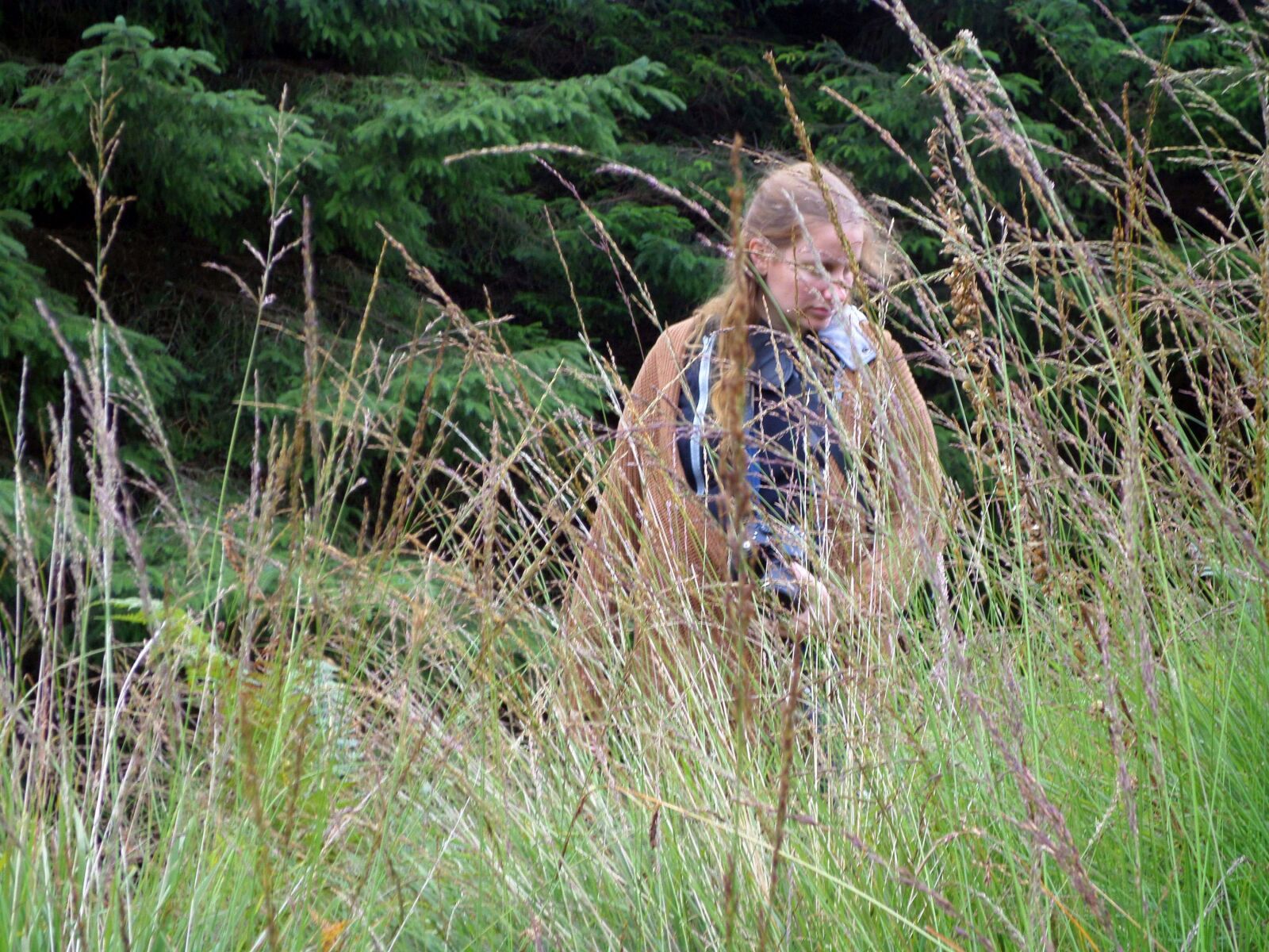 Samsung ST150F/ST151F/ST152F sample photo. Scotland, grasses, grass photography