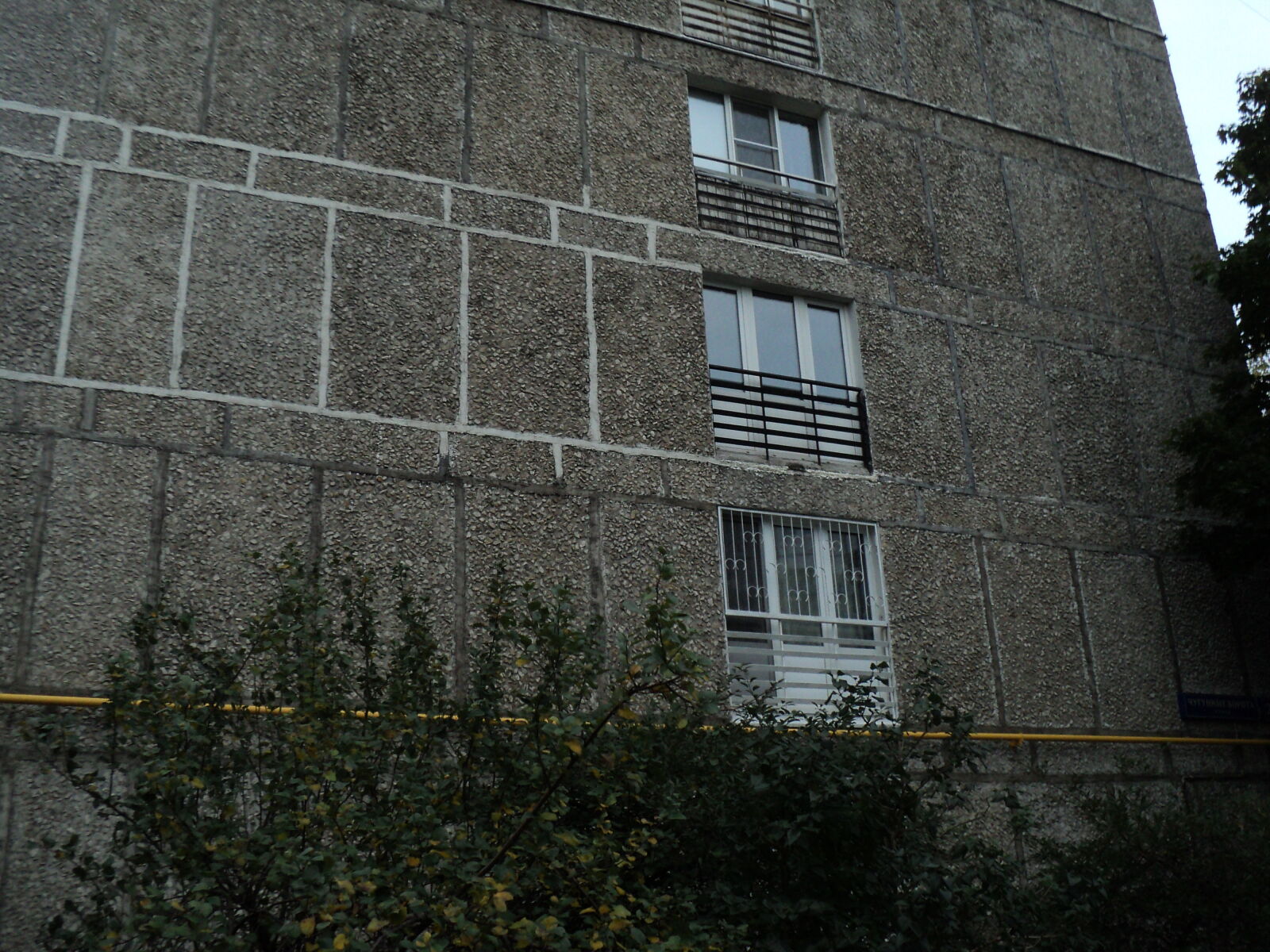 Sony DSC-S2100 sample photo