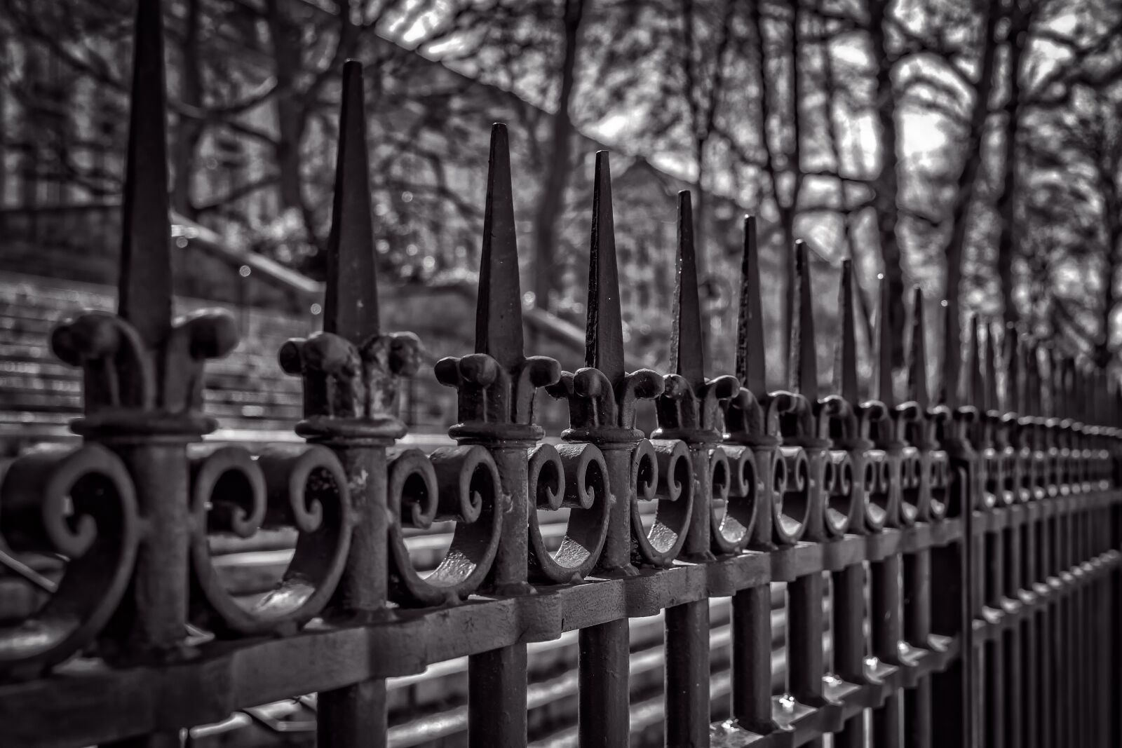 Nikon D3300 sample photo. Fence, iron, metal photography