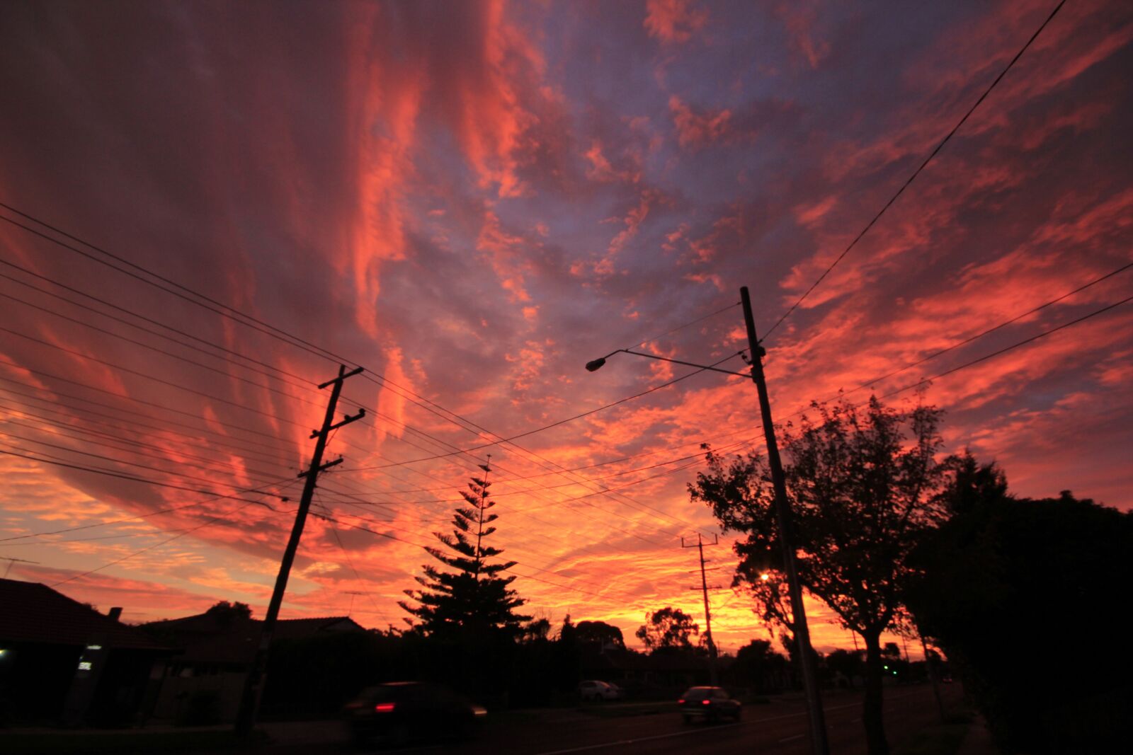 Canon EOS 550D (EOS Rebel T2i / EOS Kiss X4) sample photo. Bundoora, vic, australia photography