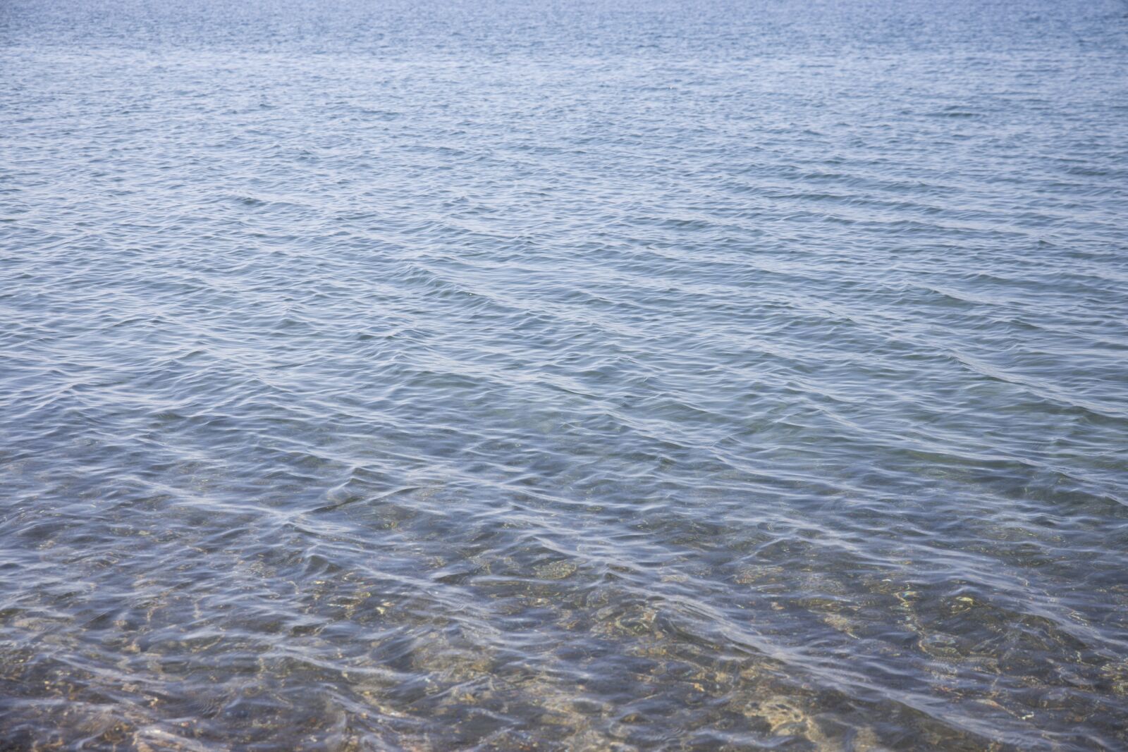 Canon RF 24-105mm F4L IS USM sample photo. Marine, beach, background photography