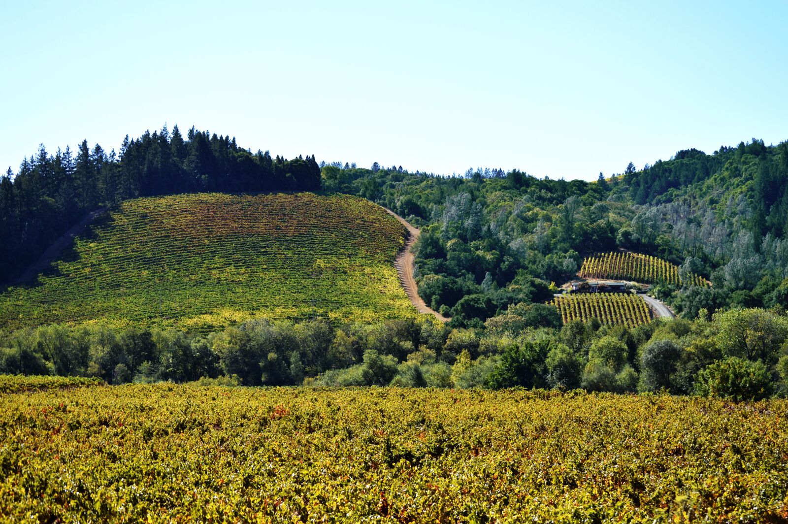 Nikon D3200 sample photo. Sonoma, county, valley photography