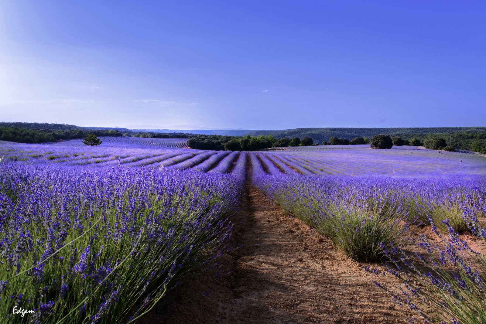 Nikon D5200 sample photo. Nature, landscape, open air photography