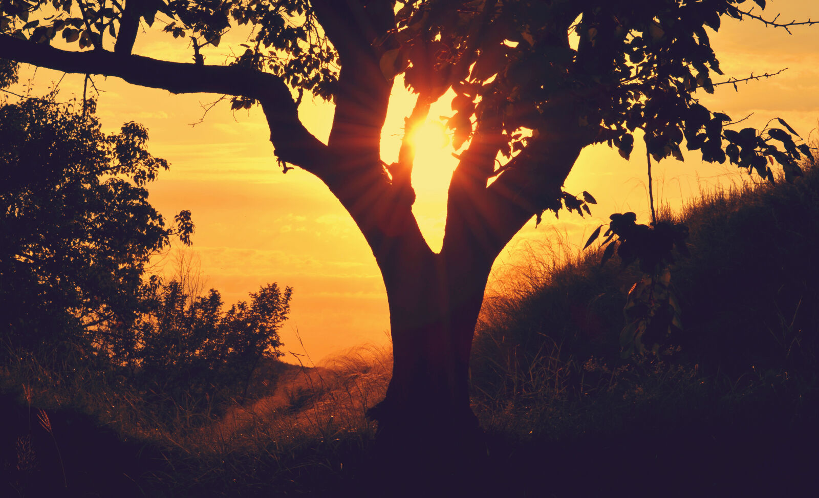 Nikon D5100 sample photo. Sunset, sunrise, twilight, silhouette photography